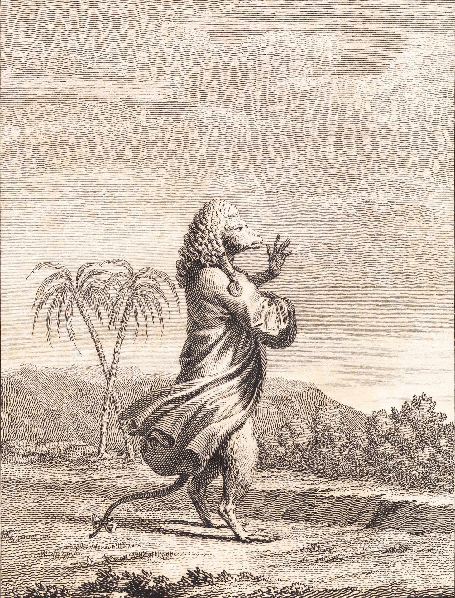 En martiniansk abekat by J.F. Clemens