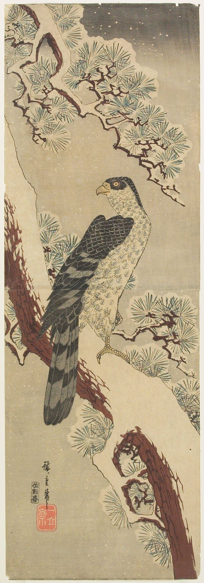 Falcon on Snow-covered Pine by Utagawa Hiroshige