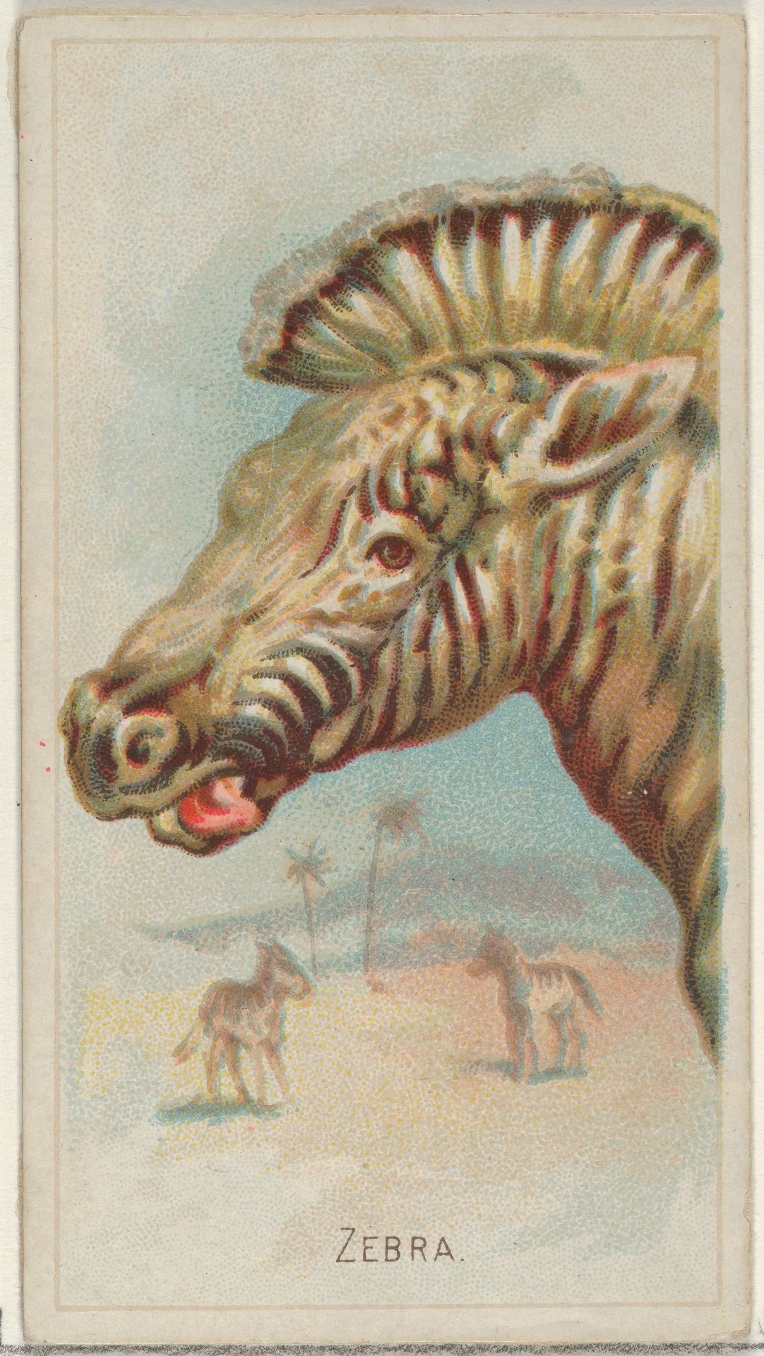 Zebra, from the Wild Animals of the World series (N25) for Allen & Ginter Cigarettes by Allen & Ginter