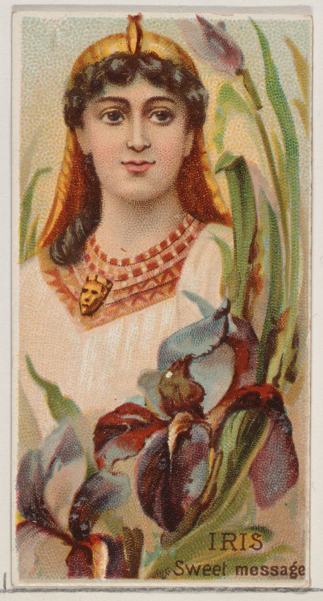 Iris: Sweet Message, from the series Floral Beauties and Language of Flowers (N75) for Duke brand cigarettes by American Tobacco Company