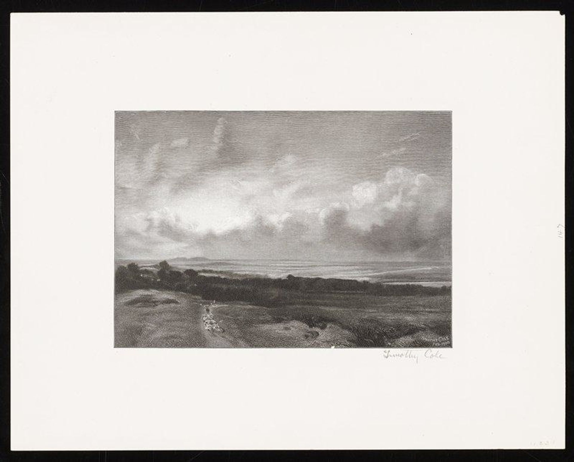 Hampstead Heath by Timothy Cole