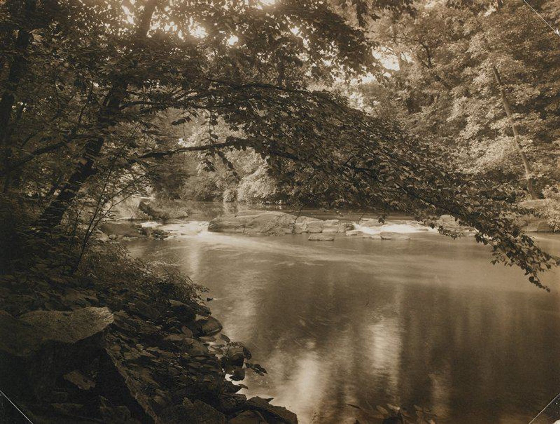 Wissahickon Creek by Henry Troth
