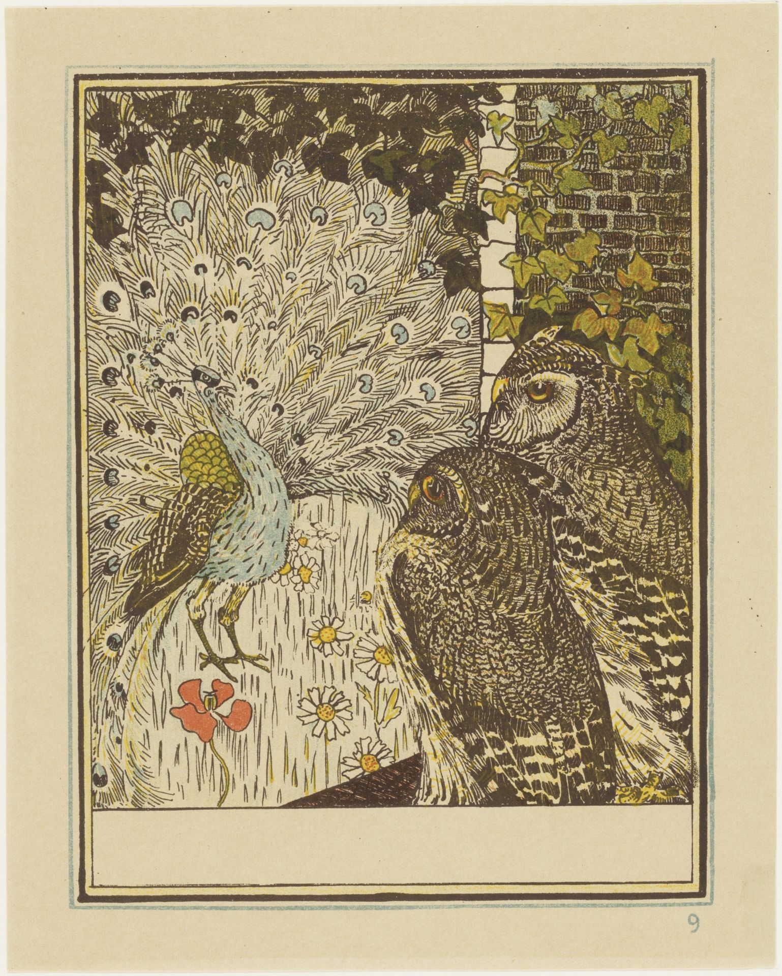 Pronkende pauw en twee uilen by Theo van Hoytema