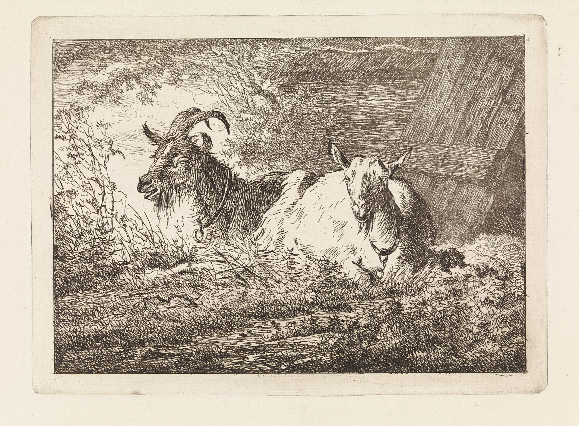 Twee geiten by Gerard van Nijmegen