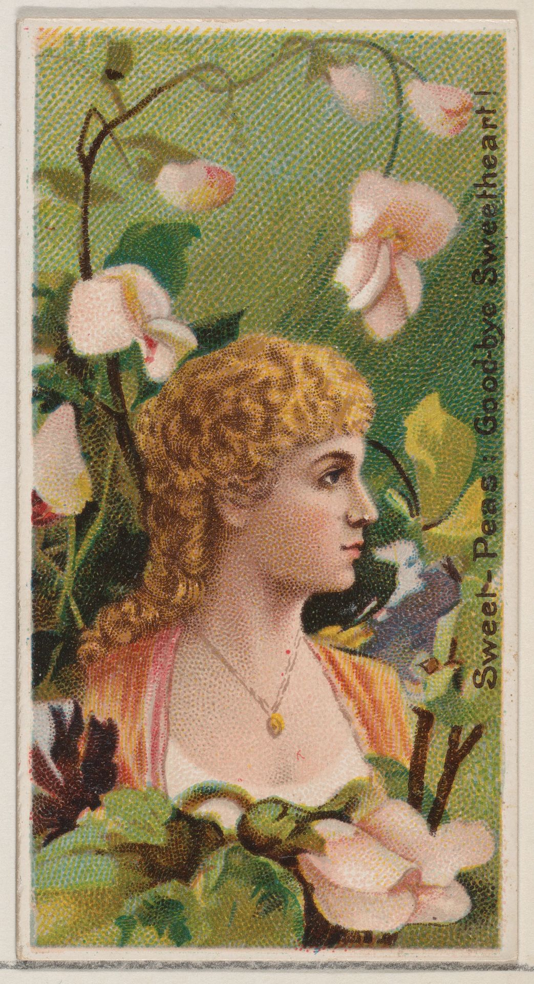 Sweet-Peas: Goodbye Sweetheart!, from the series Floral Beauties and Language of Flowers (N75) for Duke brand cigarettes by American Tobacco Company