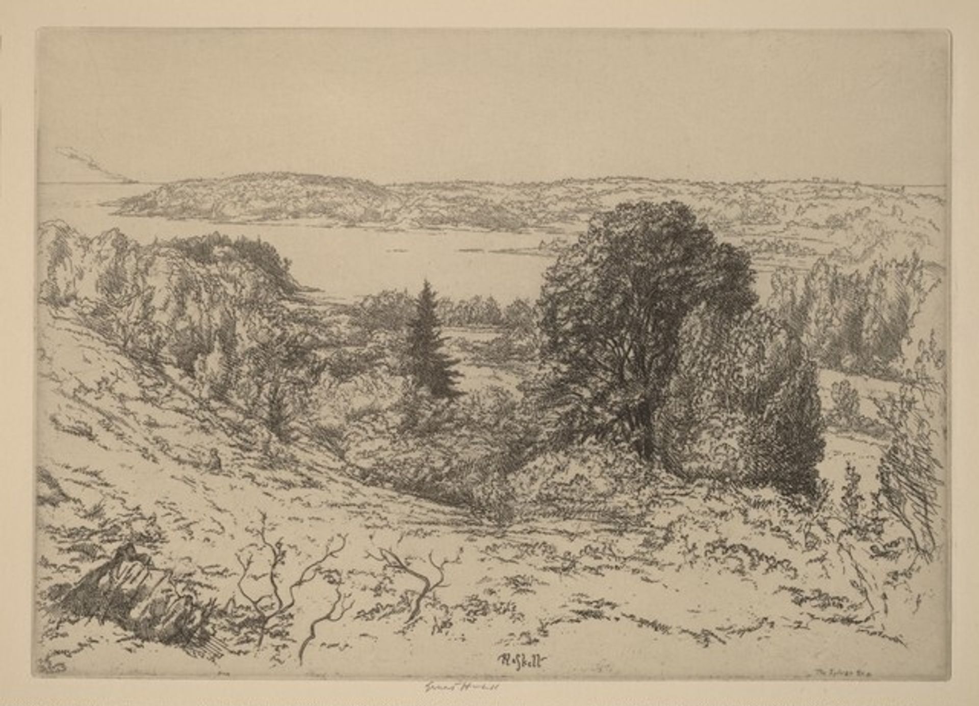 The Sylvan Sea by Ernest Haskell