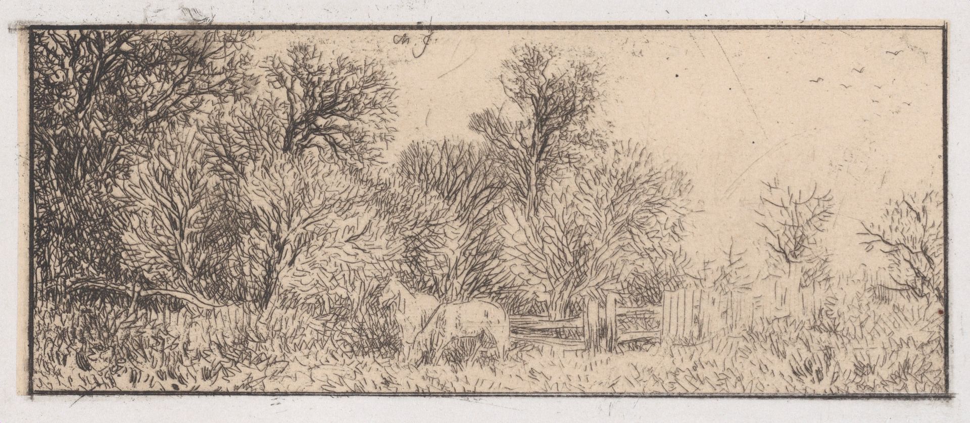 Two Horses in the Woods by Charles Jacque