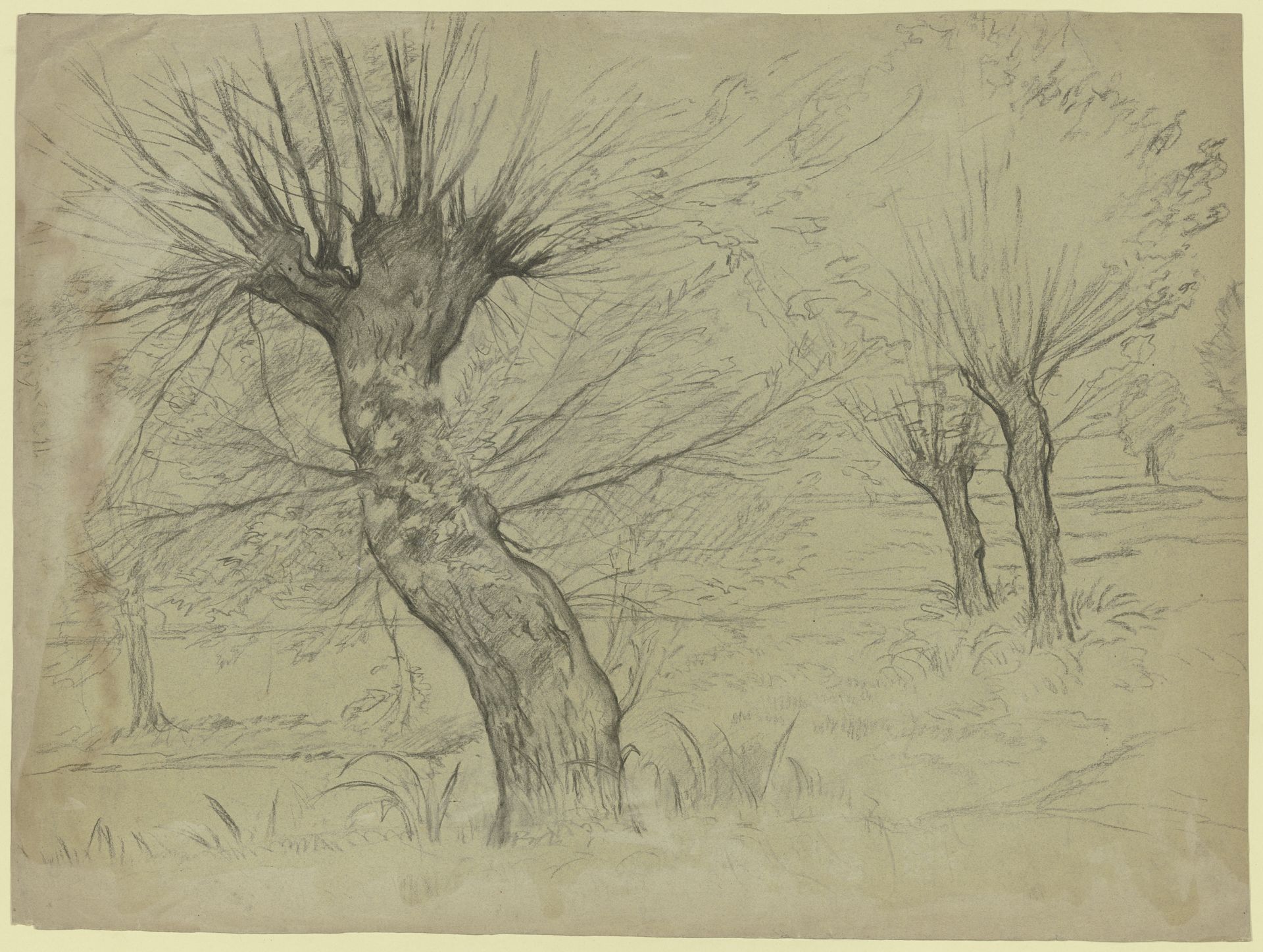 Leafless willow by Otto Scholderer