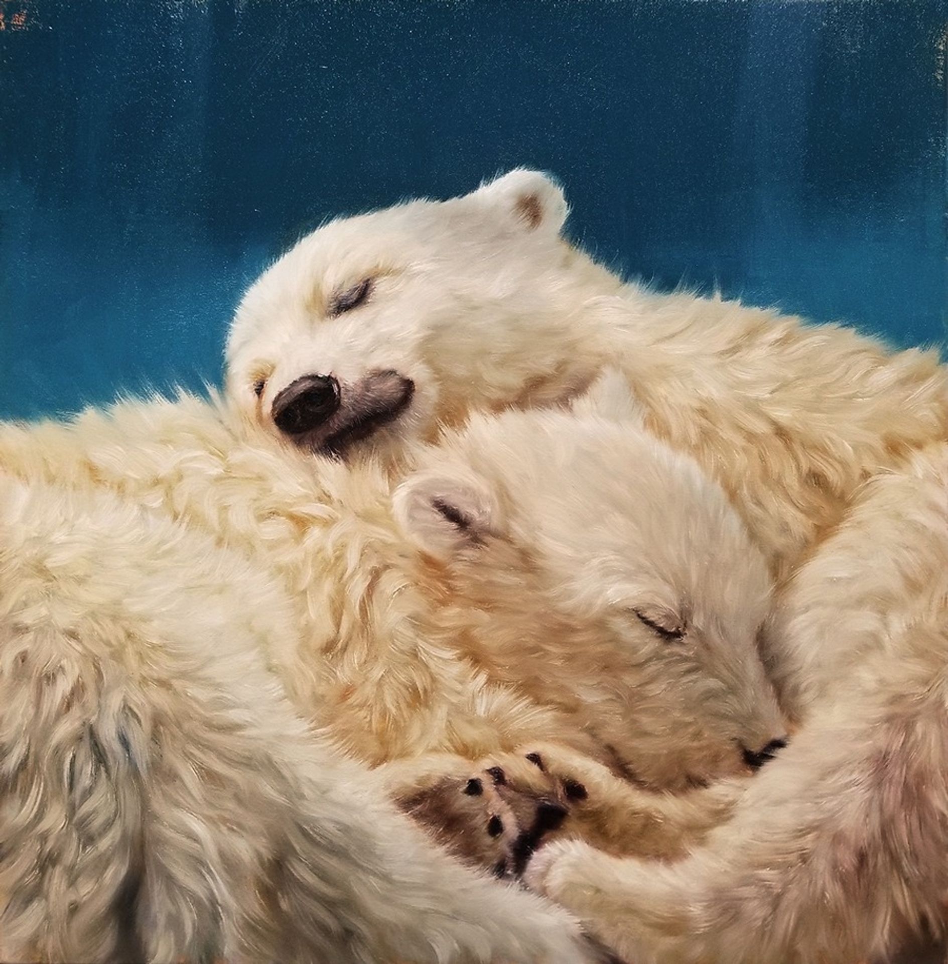 Mid Winter Dreams by Lucia Heffernan