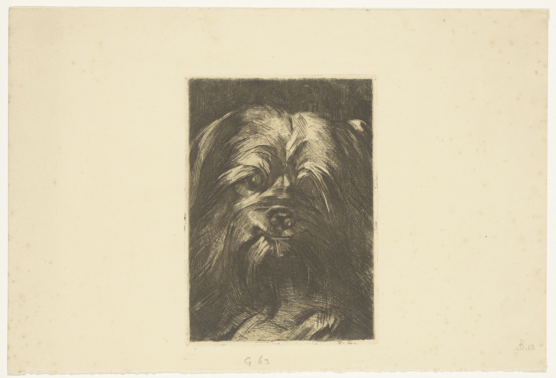 Hond Phoebus by Willem Witsen