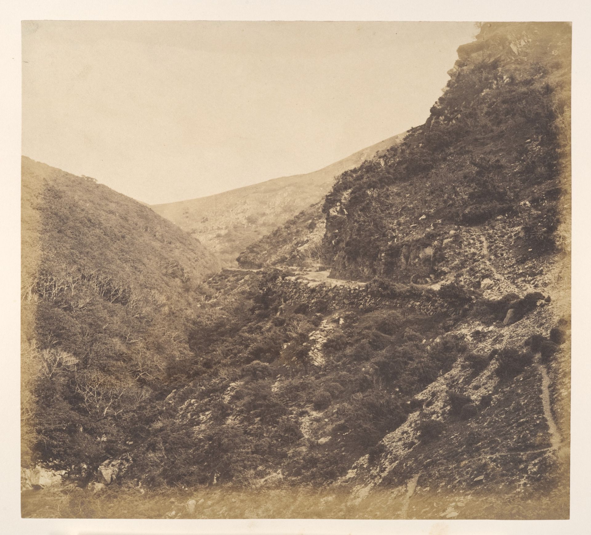 On the Road to Watersmeet, near Lynton, North Devon by Arthur Julius Pollock