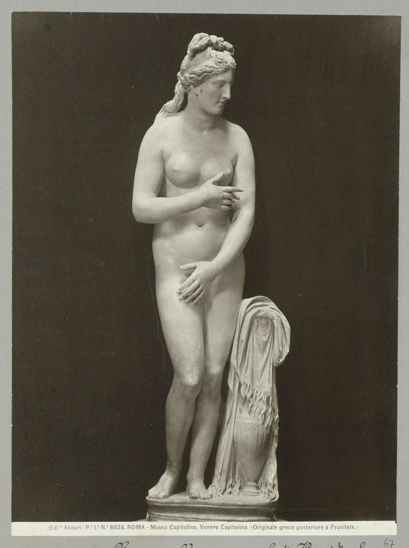 Venus van het Capitool by Fratelli Alinari