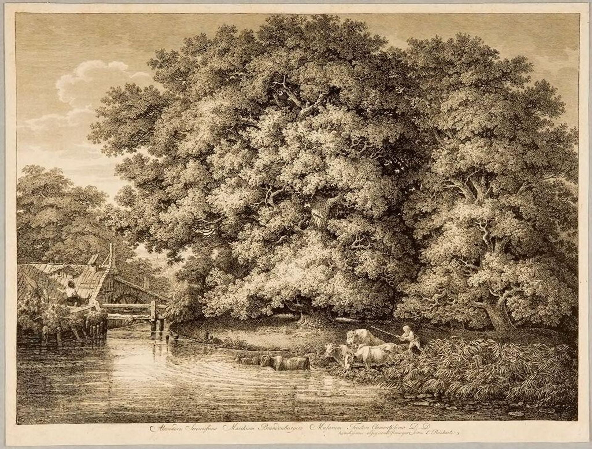 Mill by the Great Oak by Johann Christian Reinhart