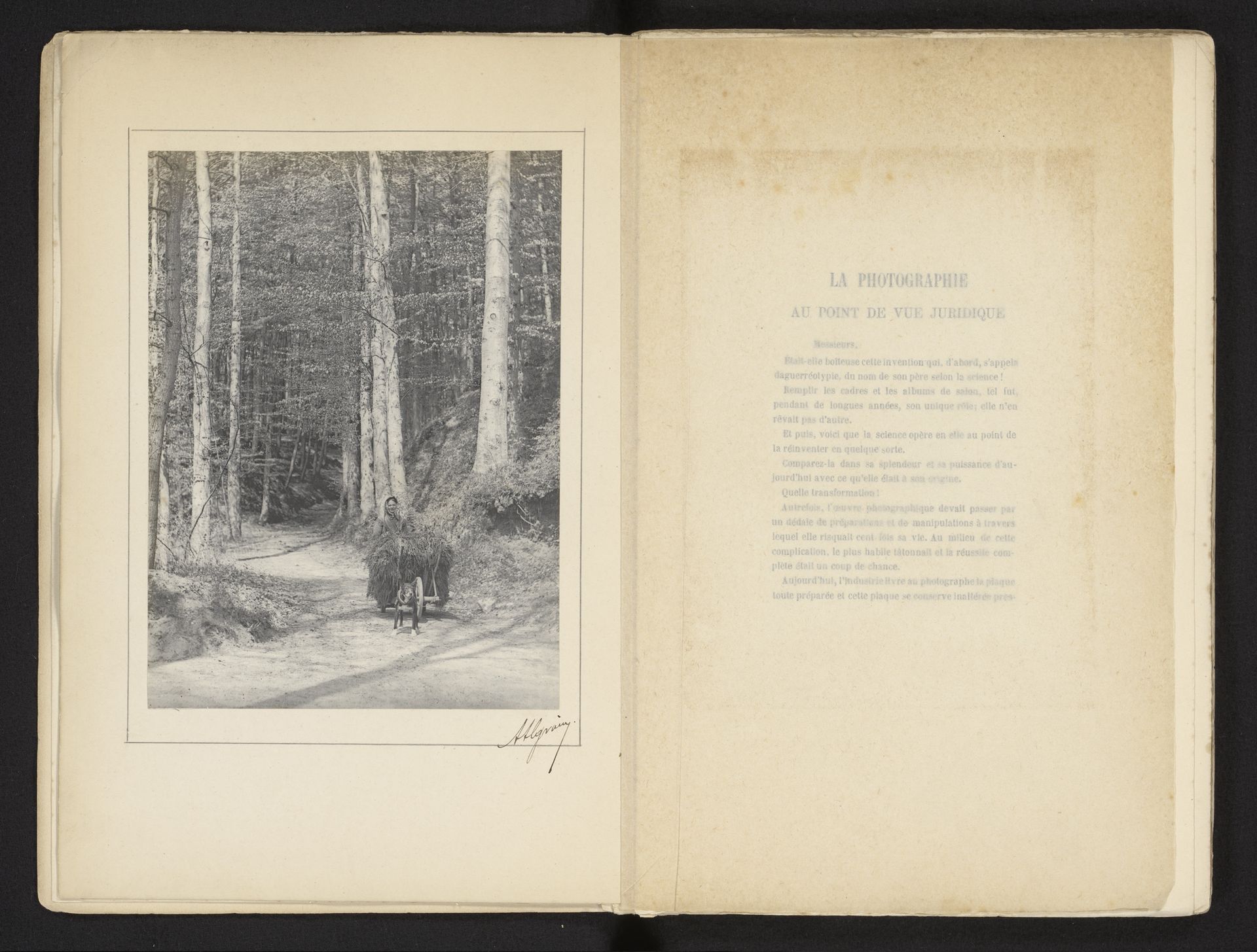 Gezicht op een onbekende vrouw met een kar en een hond op een bospad by Alfred Algrain