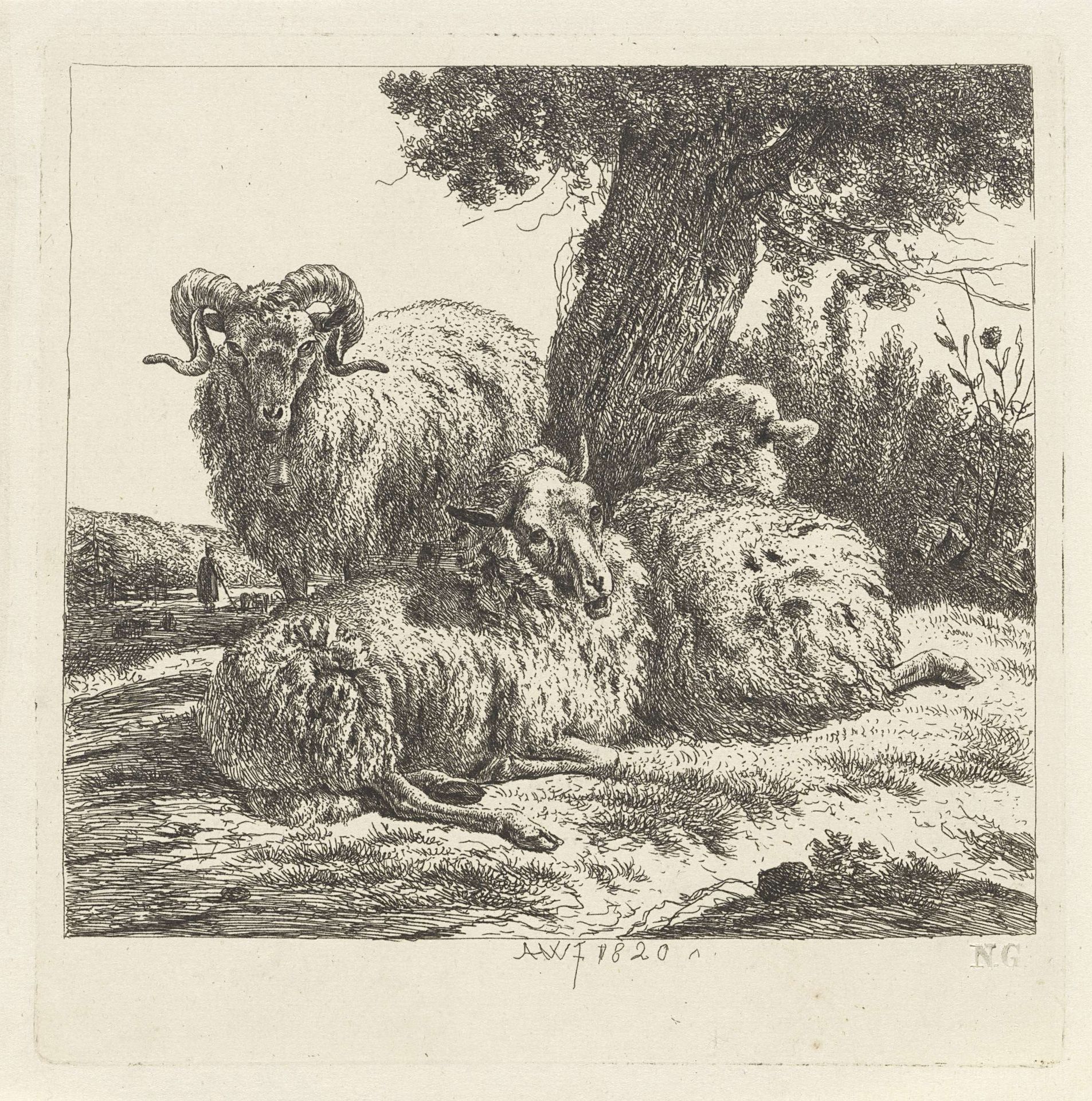 Twee schapen en een ram by Abraham Hendrik Winter