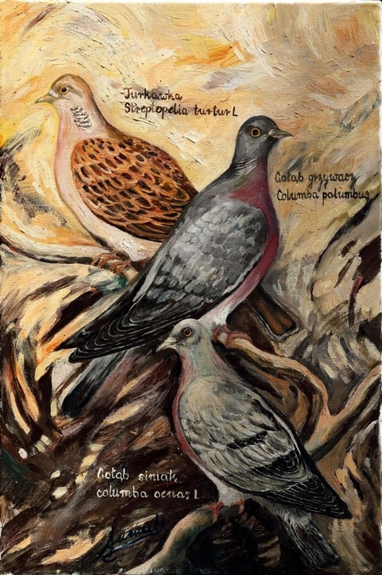Birds VII by Małgorzata Serwatka