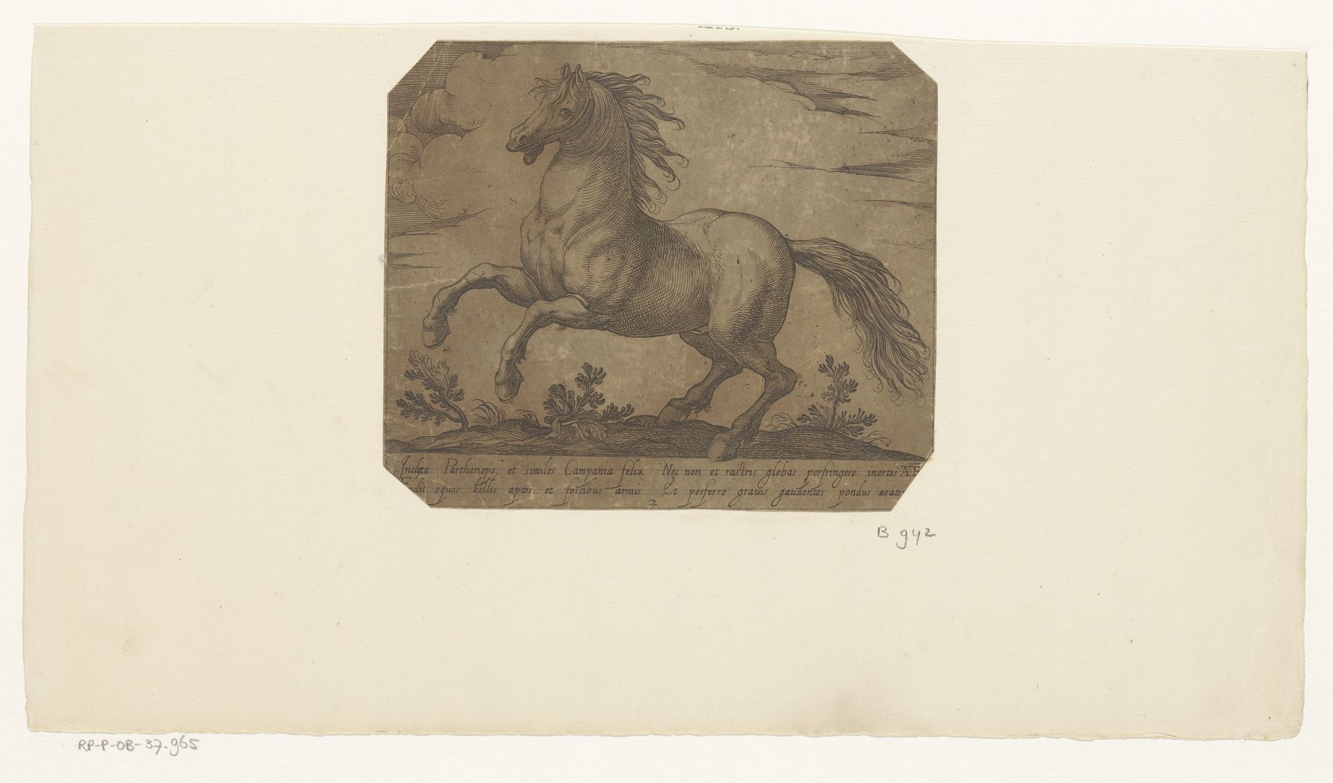 Steigerend paard, naar links gewend by Antonio Tempesta