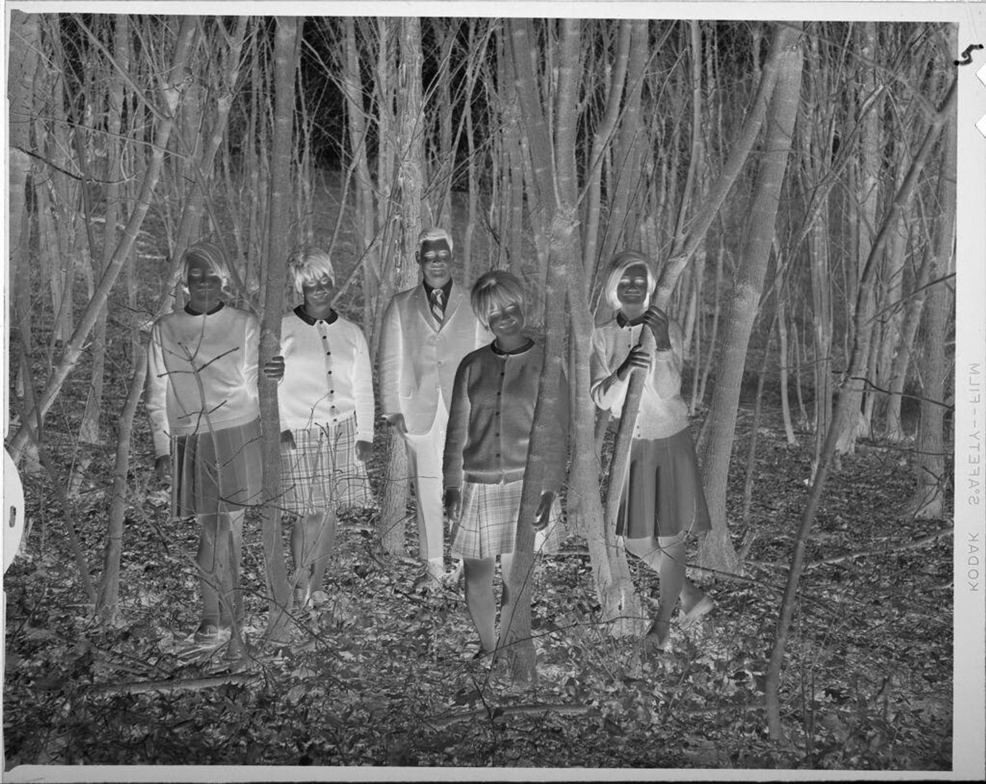 Untitled (portrait of family in trees) by Lucian and Mary Brown