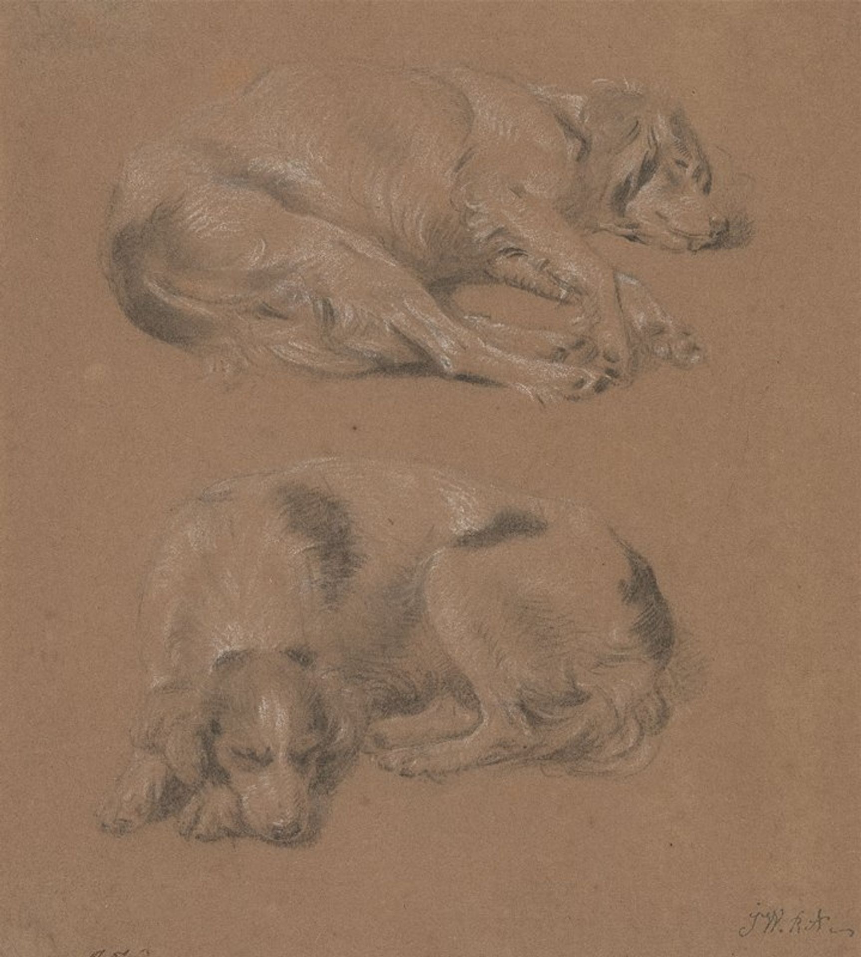 Studies of Dogs lying down by James Ward