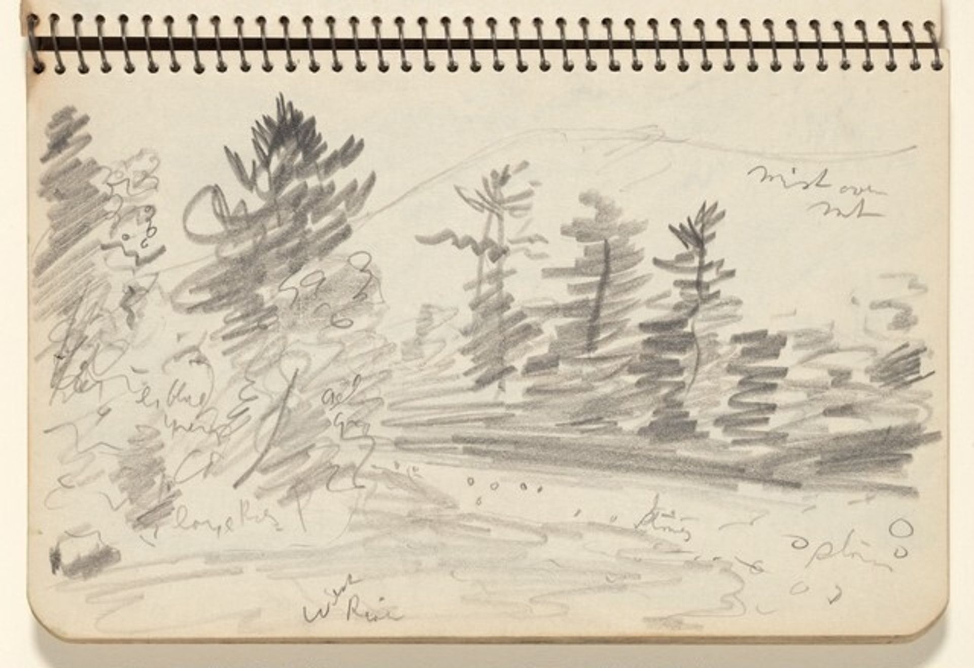 Wooded Landscape by Milton Avery