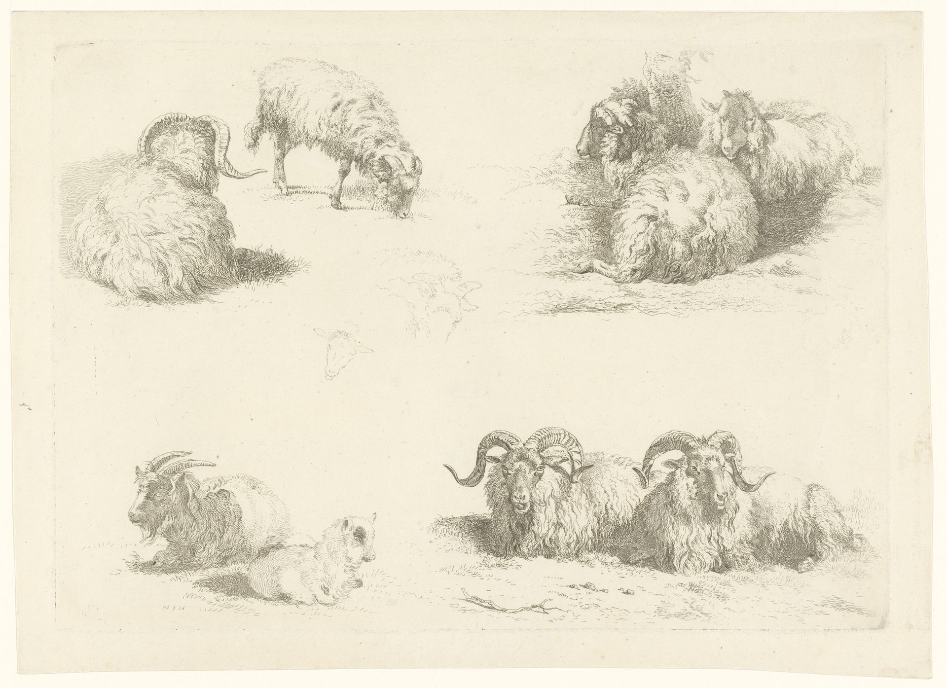 Vier voorstellingen met schapen en geiten by Pieter Gerardus van Os