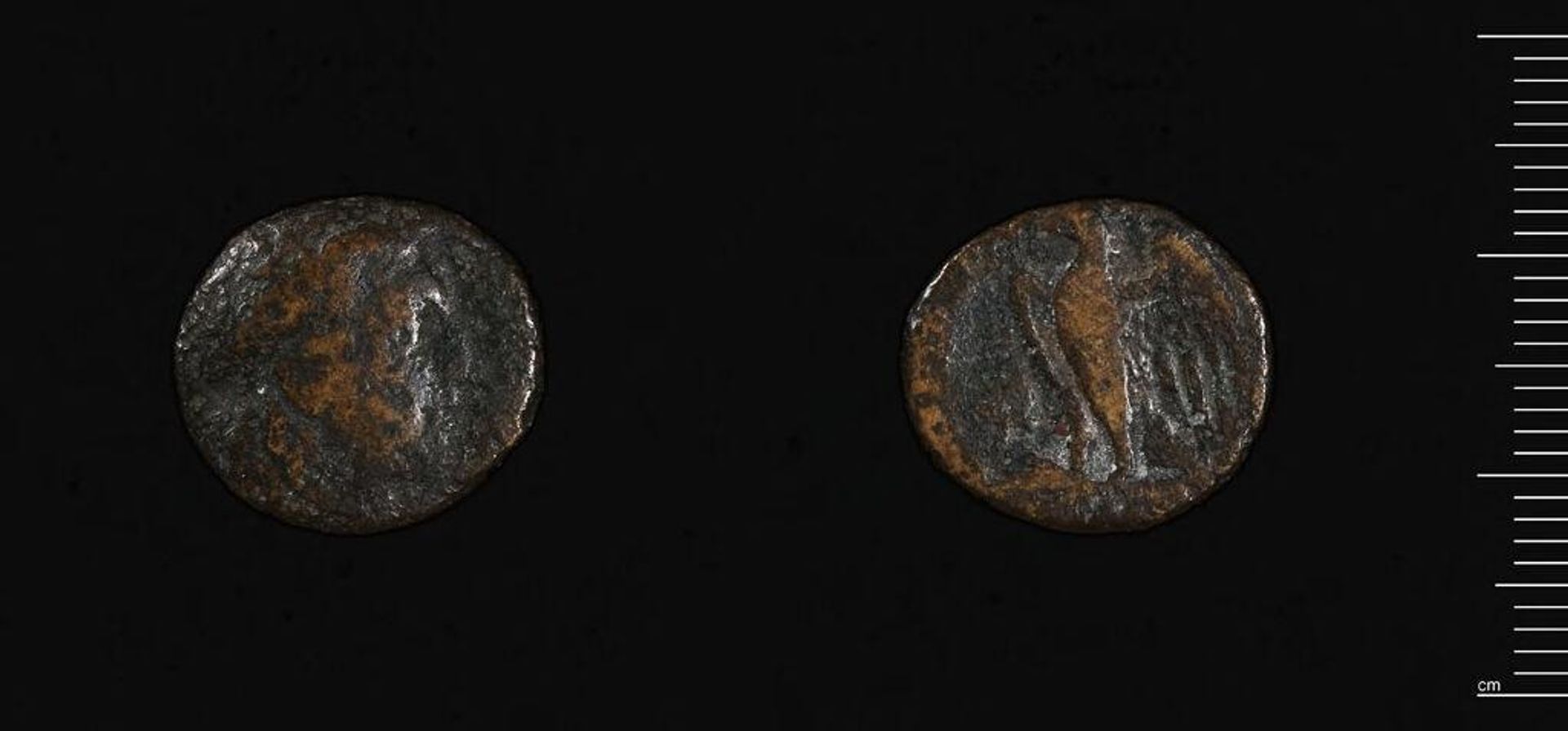 Coin of Ptolemy I by Ptolemy I Soter