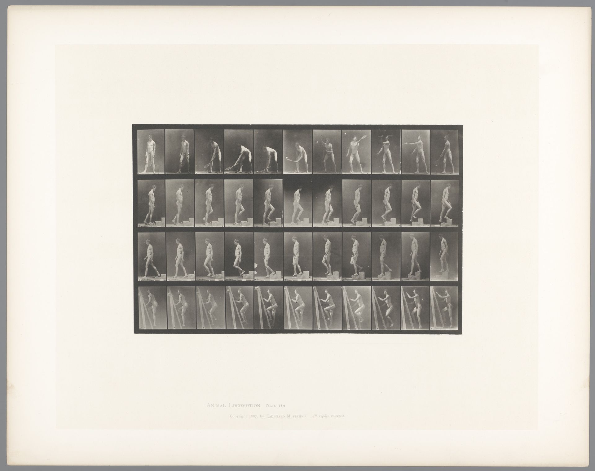 Man Making Various Movements by Eadweard Muybridge
