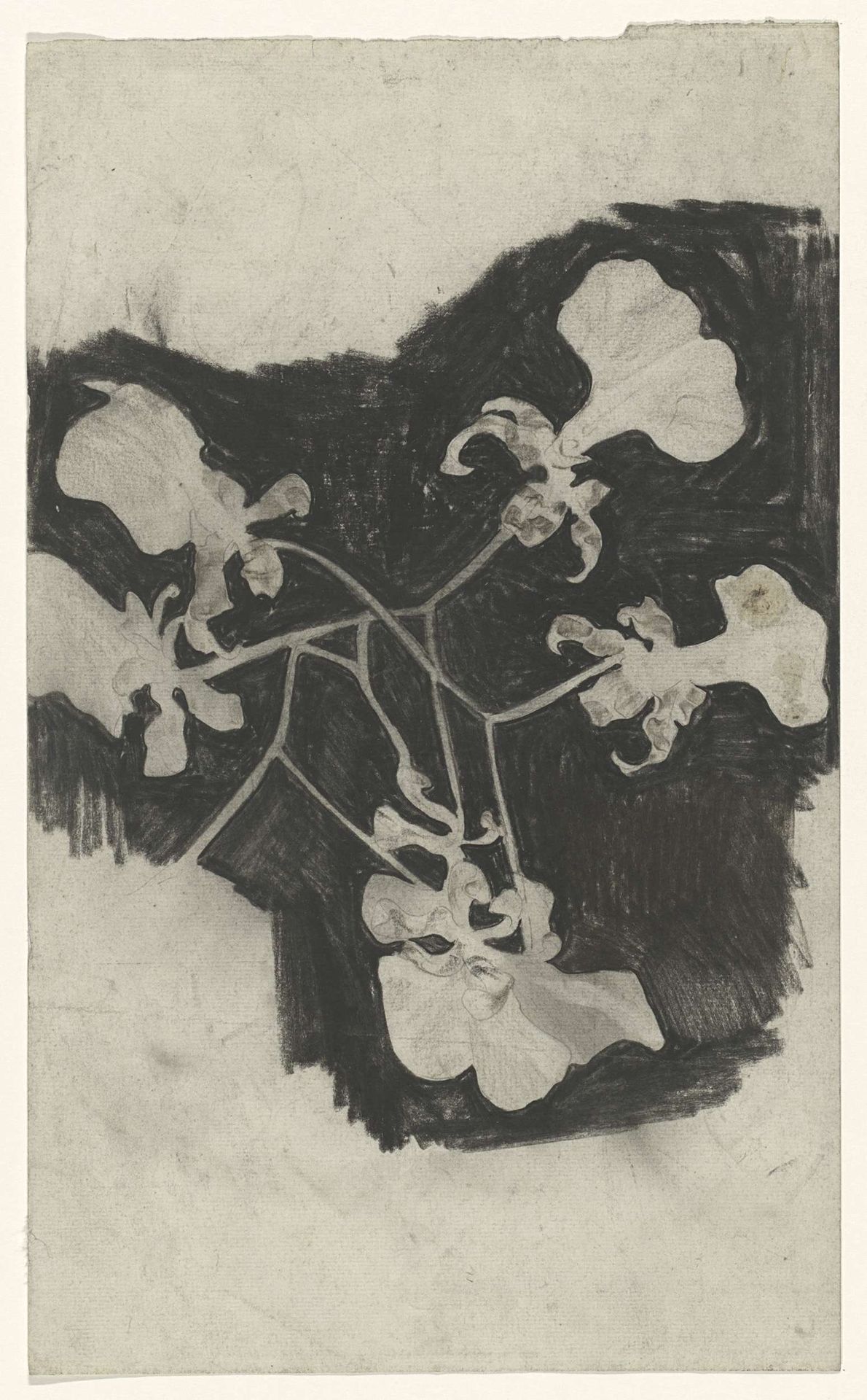 Bloemstudie by Carel Adolph Lion Cachet