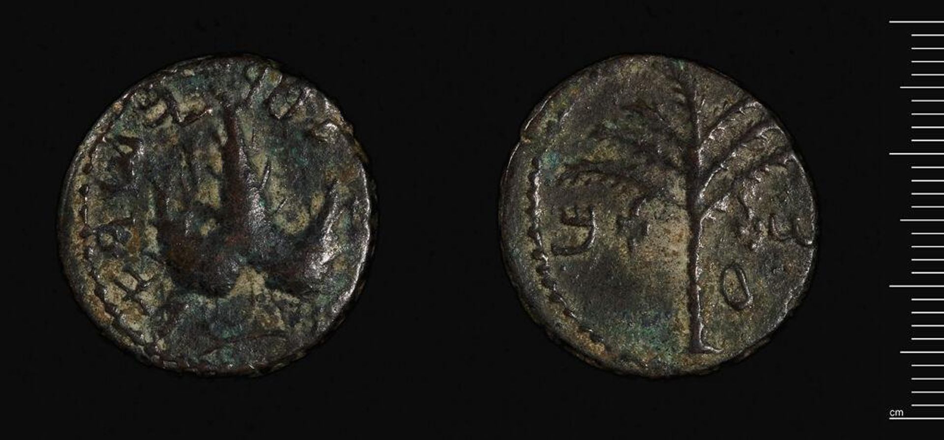 Coin of the Bar Kocba  War by Bar Kochba