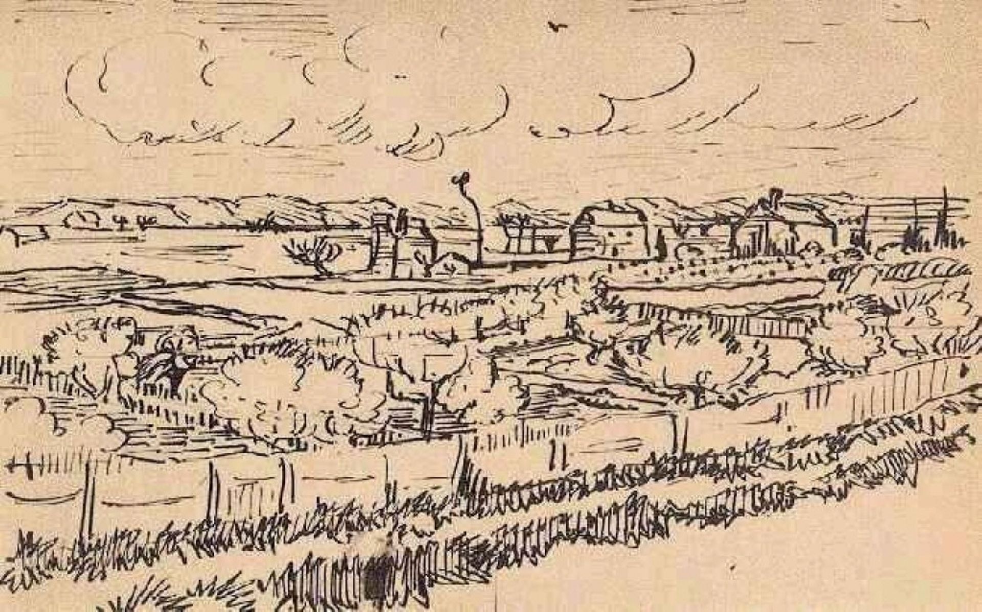 La Crau with Peach Trees in Bloom by Vincent van Gogh