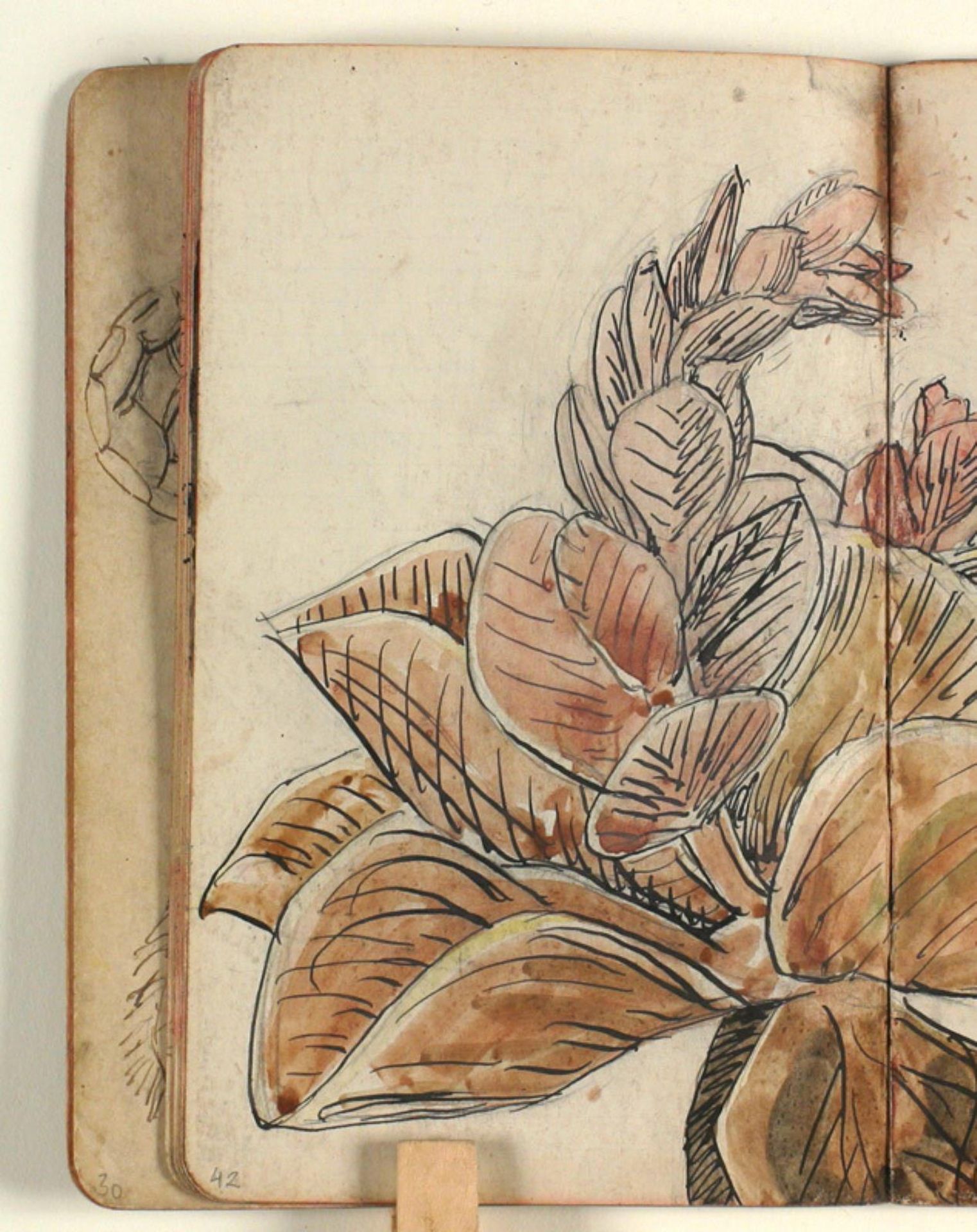 Plantestudie by Niels Larsen Stevns