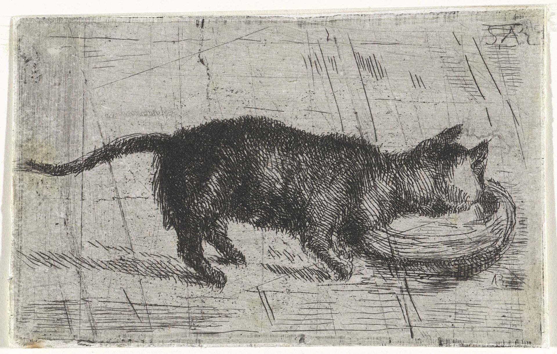 Drinkende kat by Arnoud Schaepkens