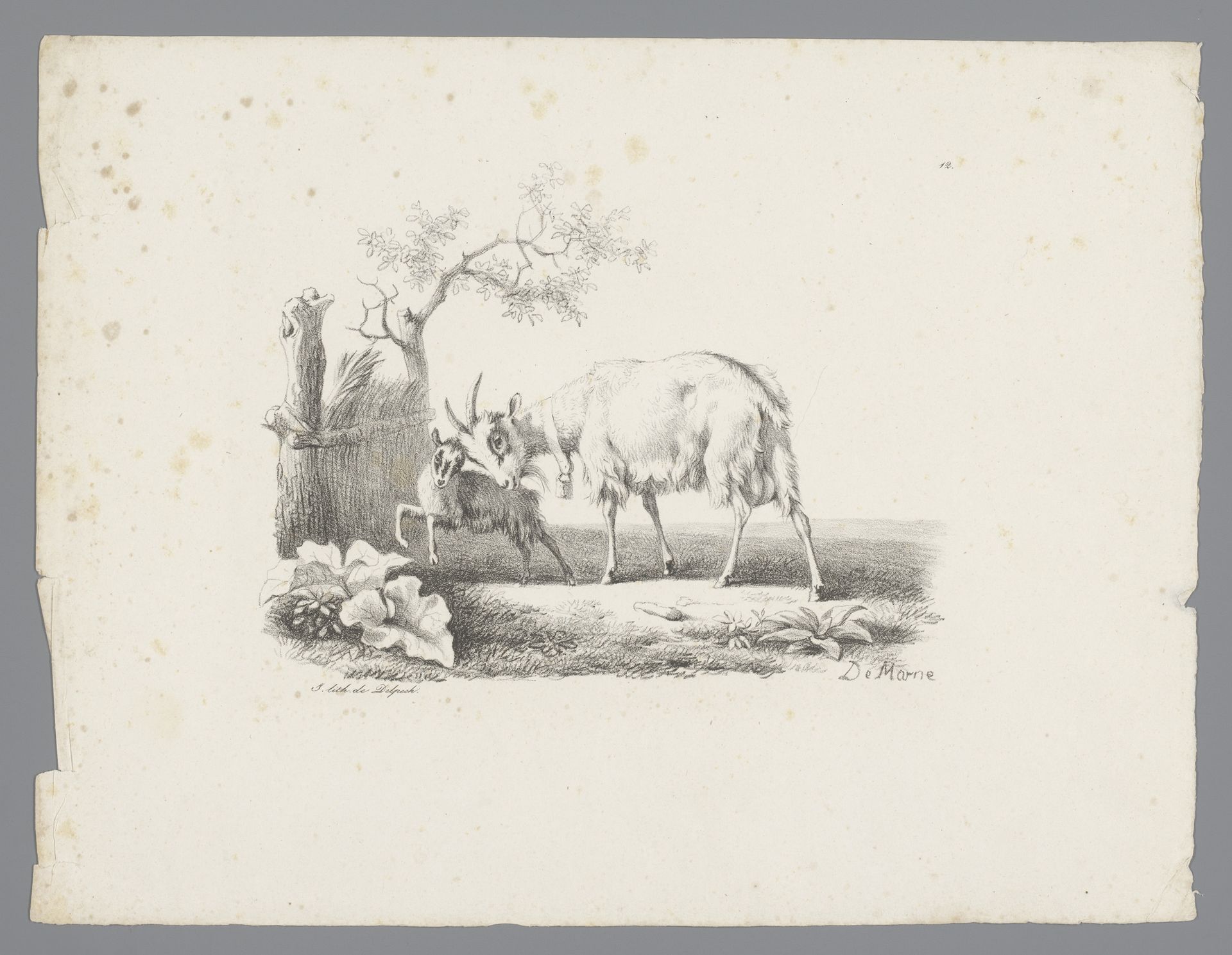 Geit met jong by Jean Louis Demarne