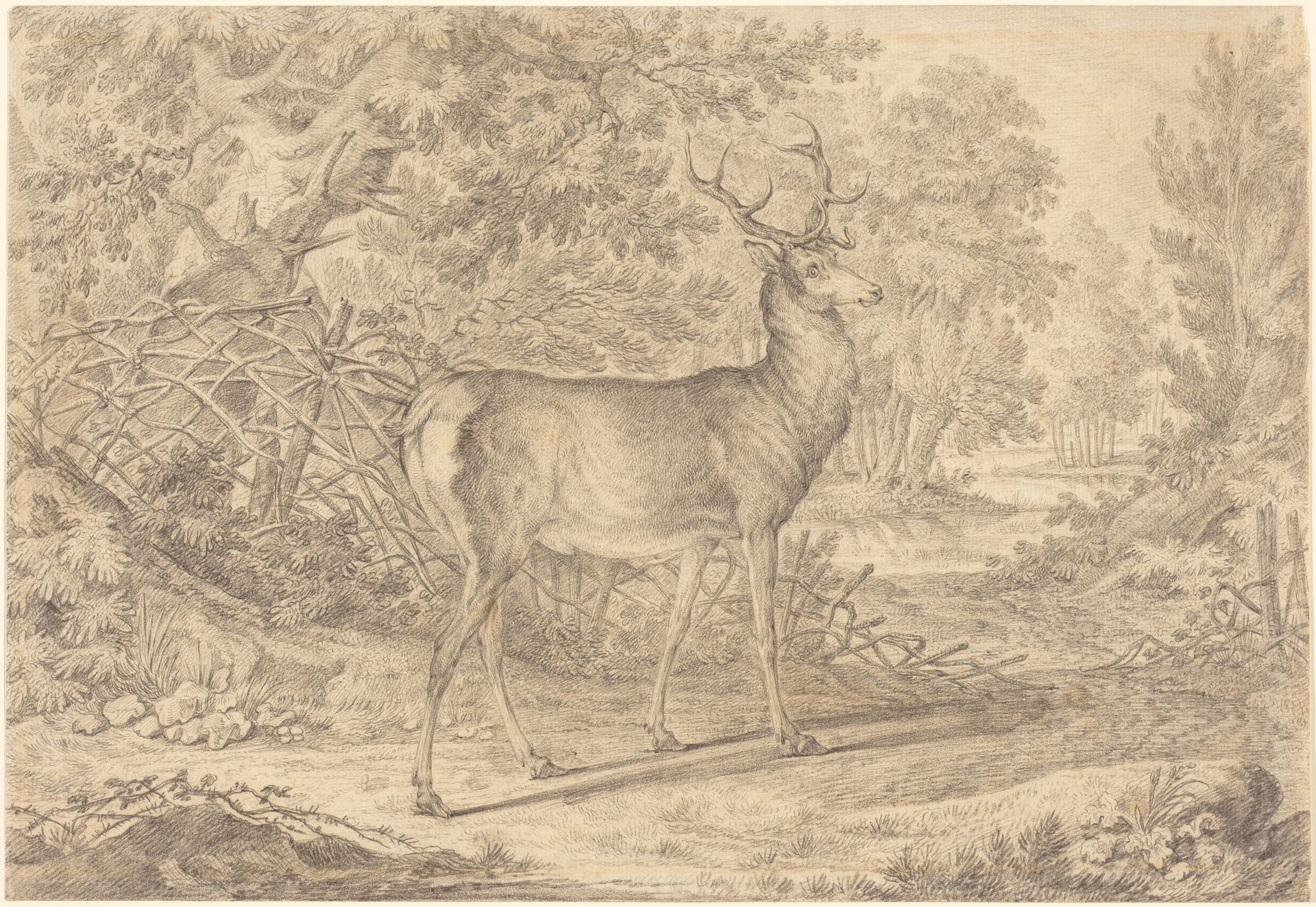 A Splendid Young Stag before a Wattle Fence by Johann Elias Ridinger