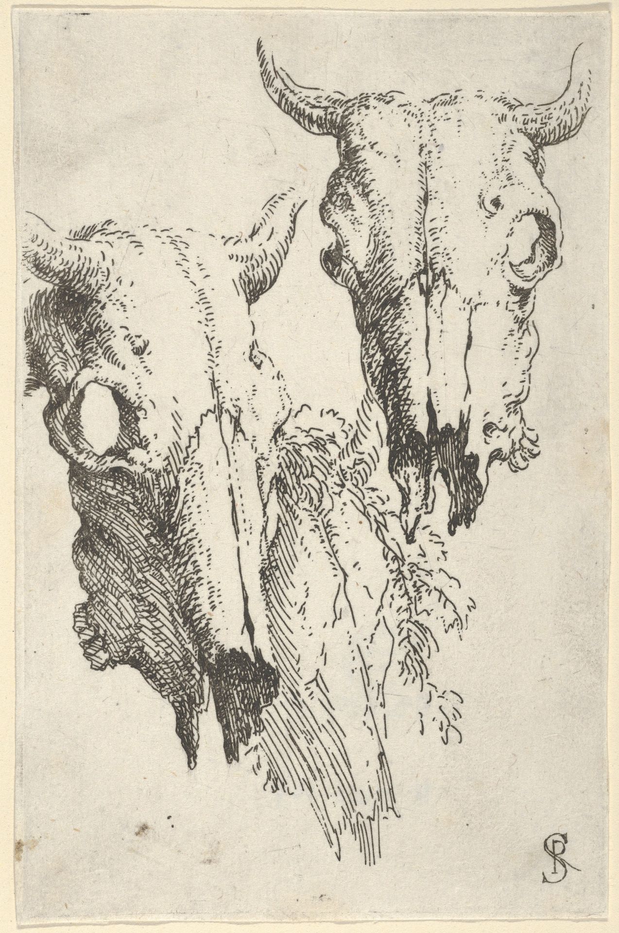 Two ox skulls and a portion of a third, study for "Democritus in Meditation" by Salvator Rosa