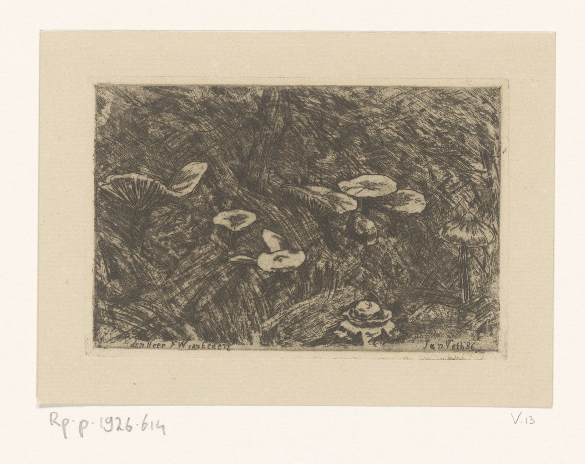 Paddenstoelen by Jan Veth