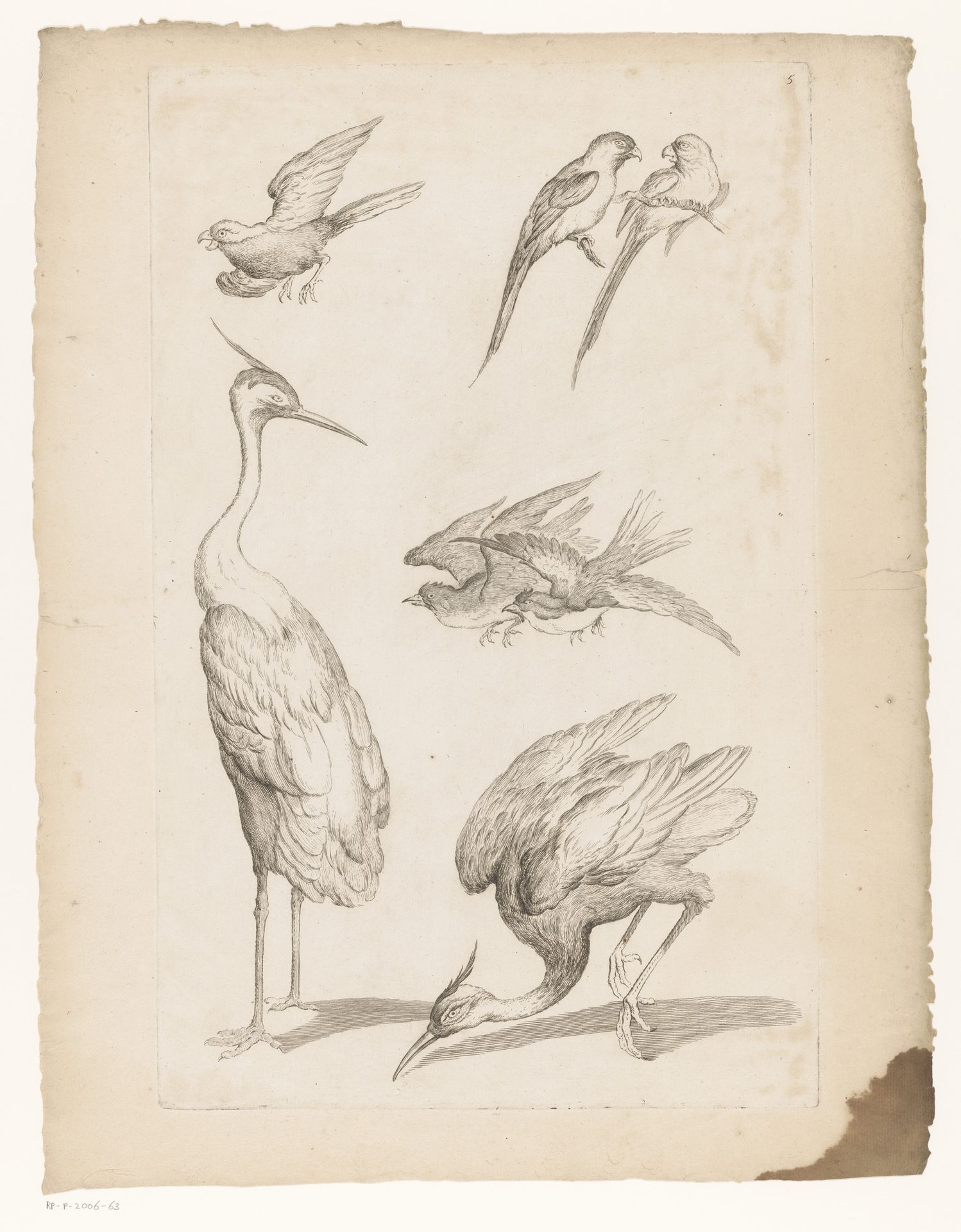 Zeven Chinese vogels, waaronder reigers en papegaaiachtigen by Gabriel Huquier