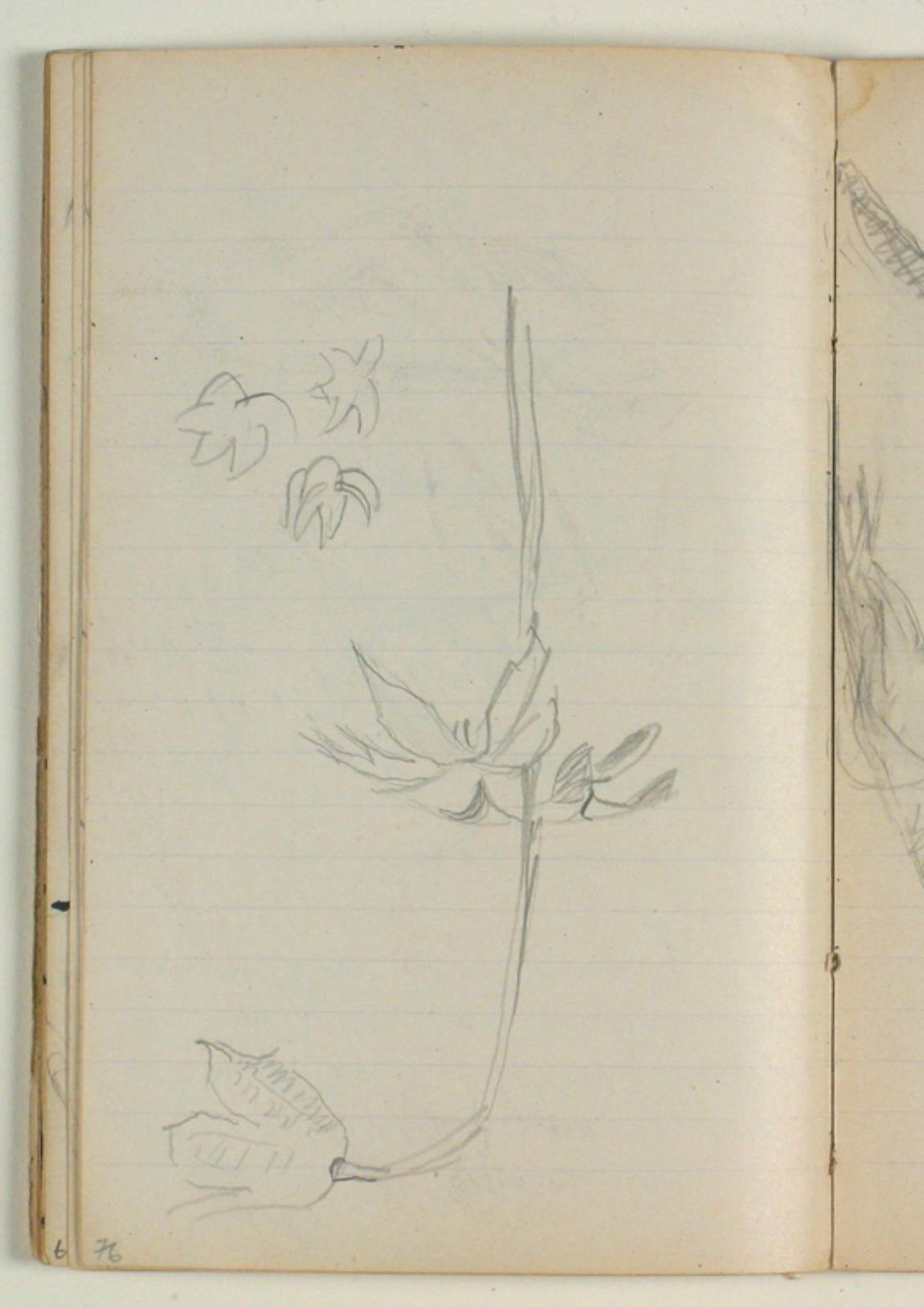 Blomsterstudie by Niels Larsen Stevns