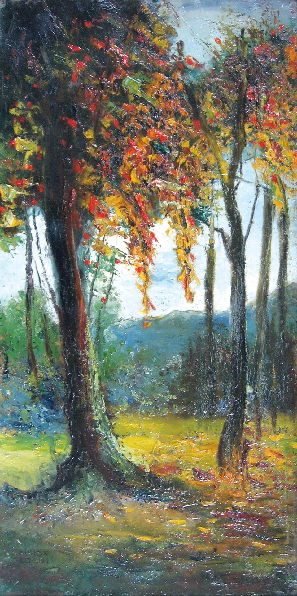 The Tree by Kimon Loghi