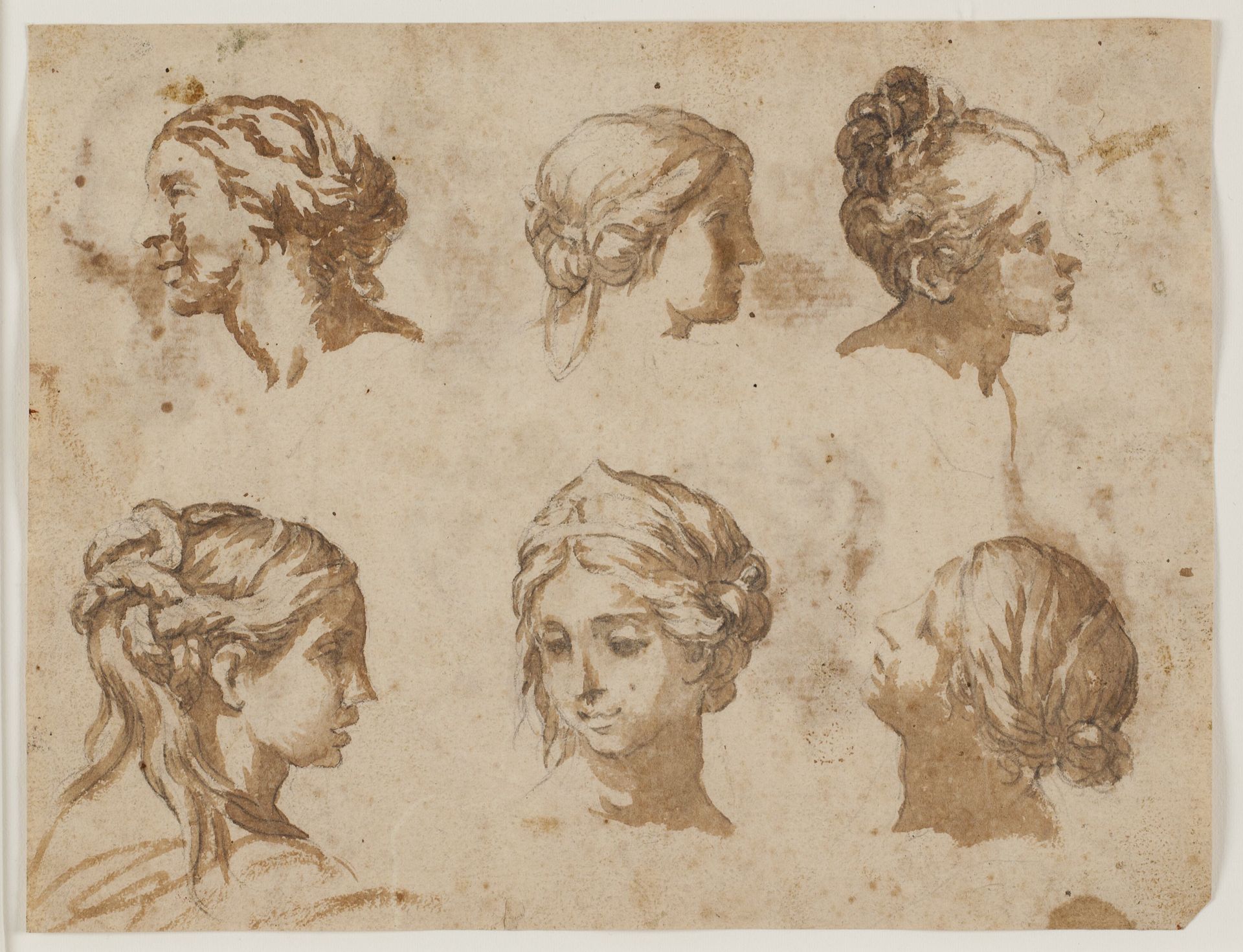 Six studies of female heads by Anonymous