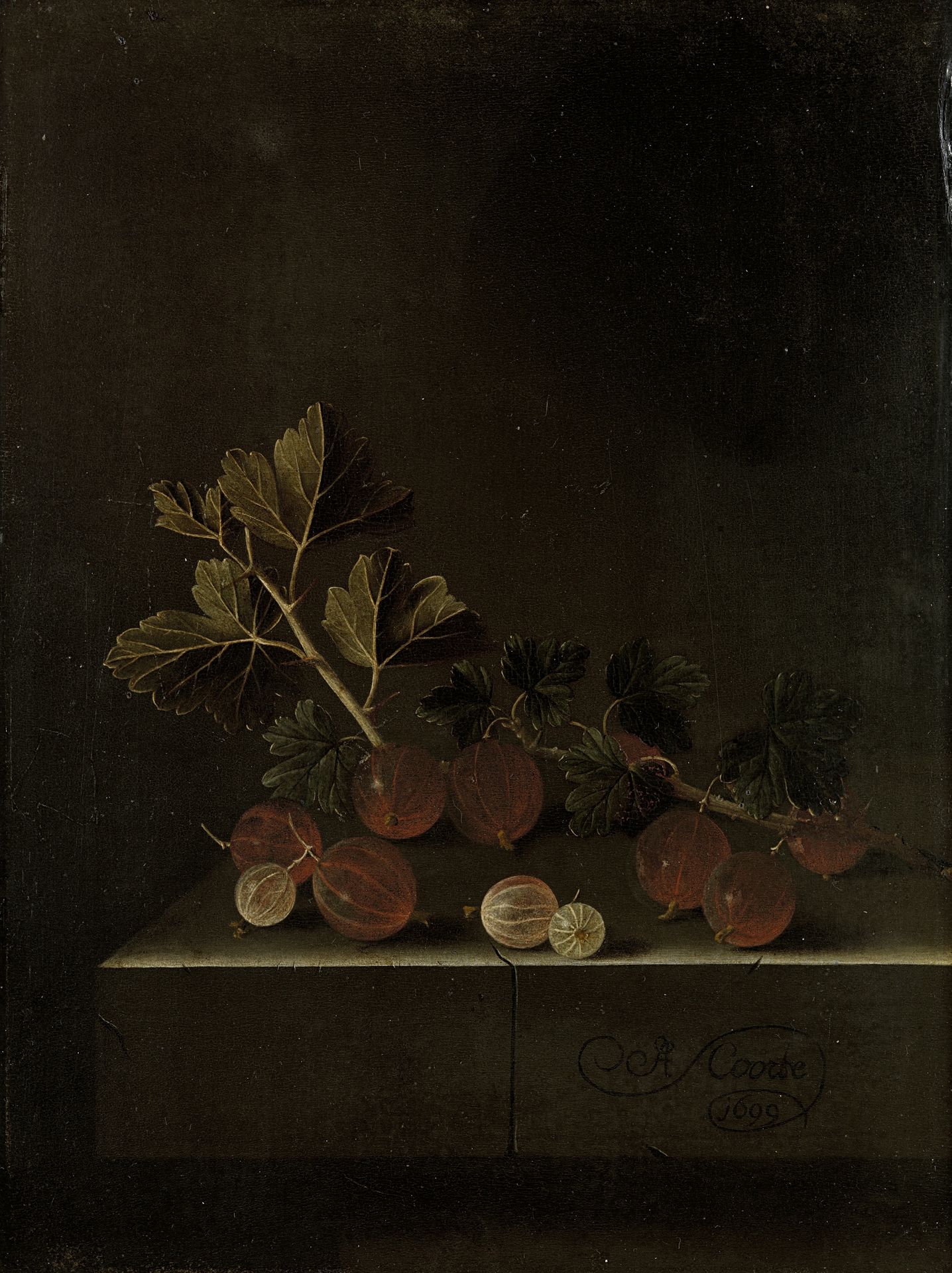 A Sprig of Gooseberries on a Stone Plinth by Adriaen Coorte