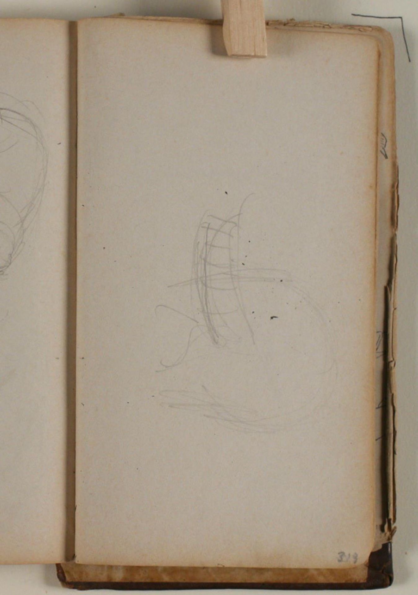 Studie af vaskebjørn by Niels Larsen Stevns