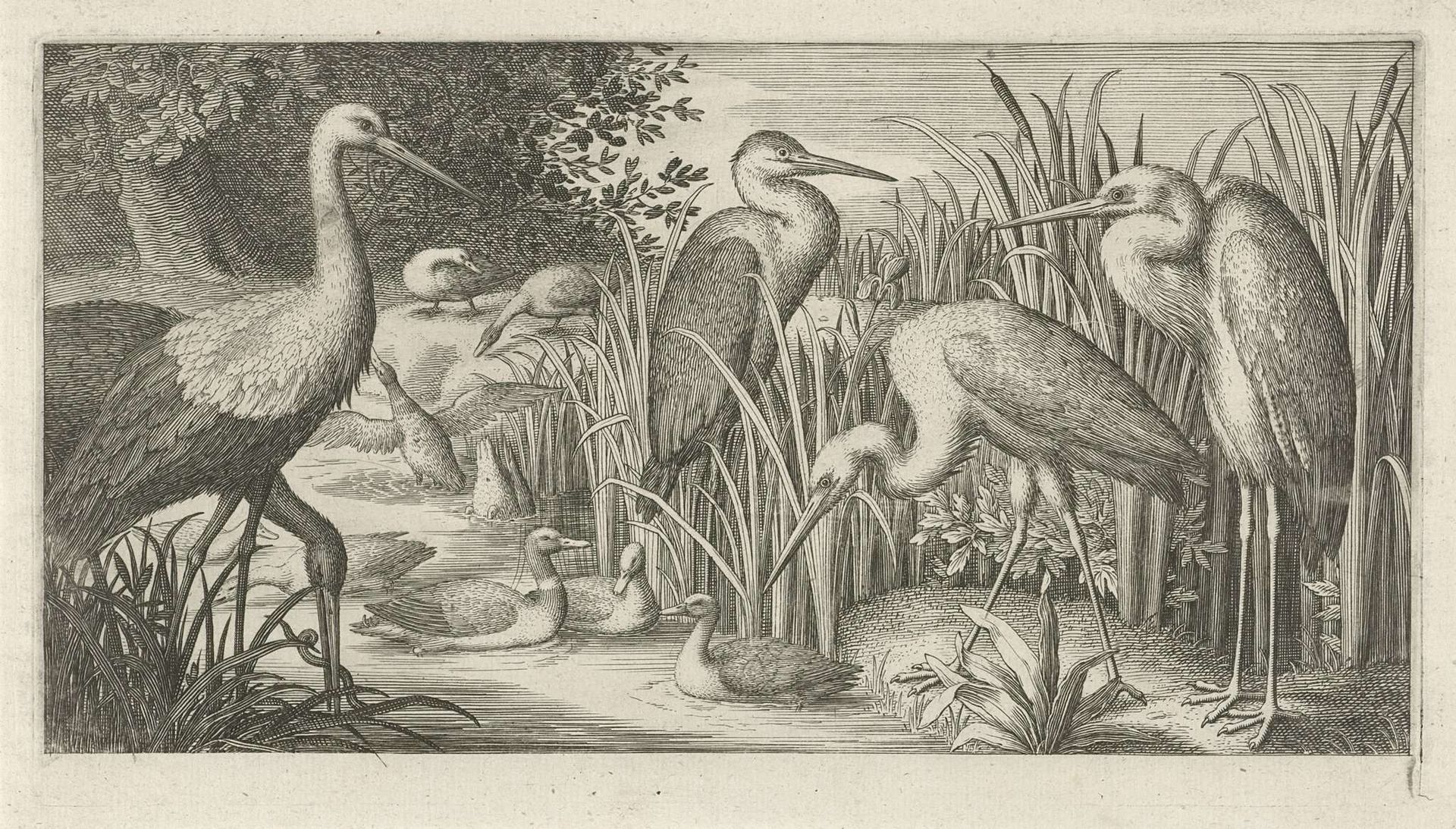 Ooievaars en eenden bij een poel by Jan van Londerseel