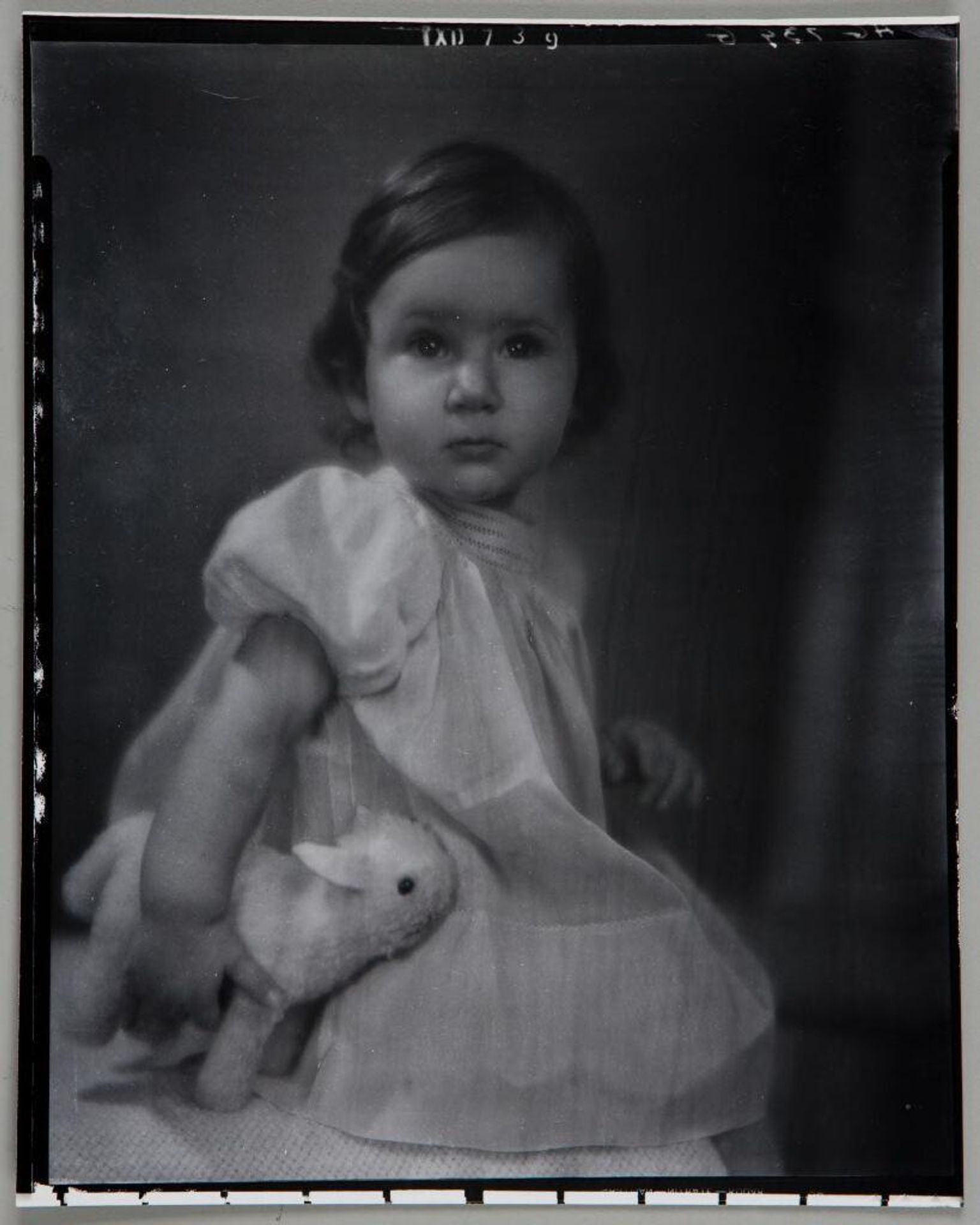 Untitled (portrait of seated little girl holding stuffed animal under right arm) by Paul Gittings