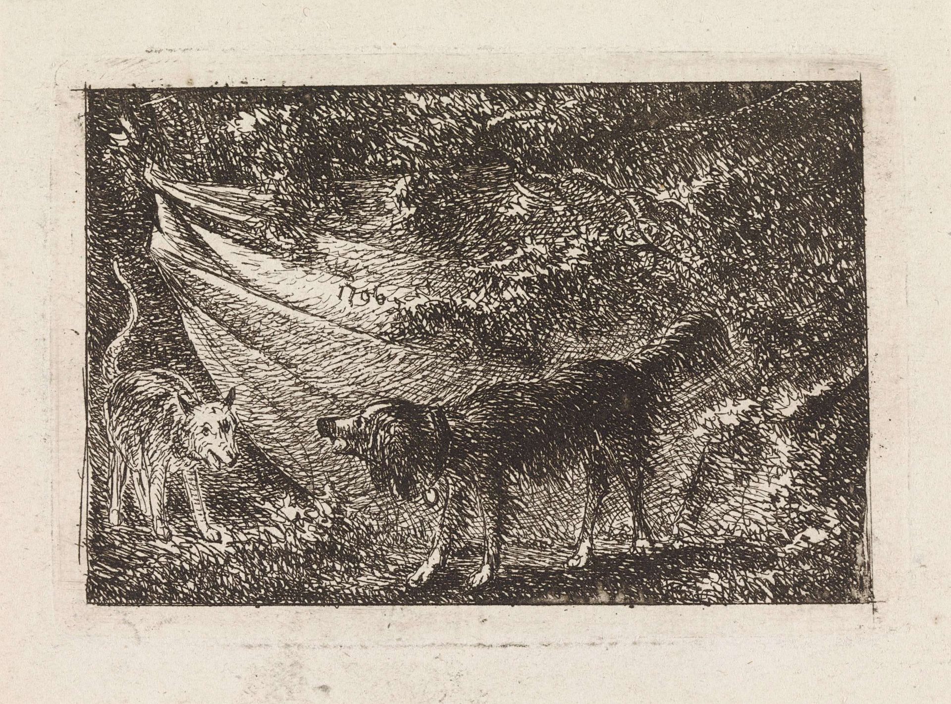 Twee honden voor een doek by Gerard van Nijmegen
