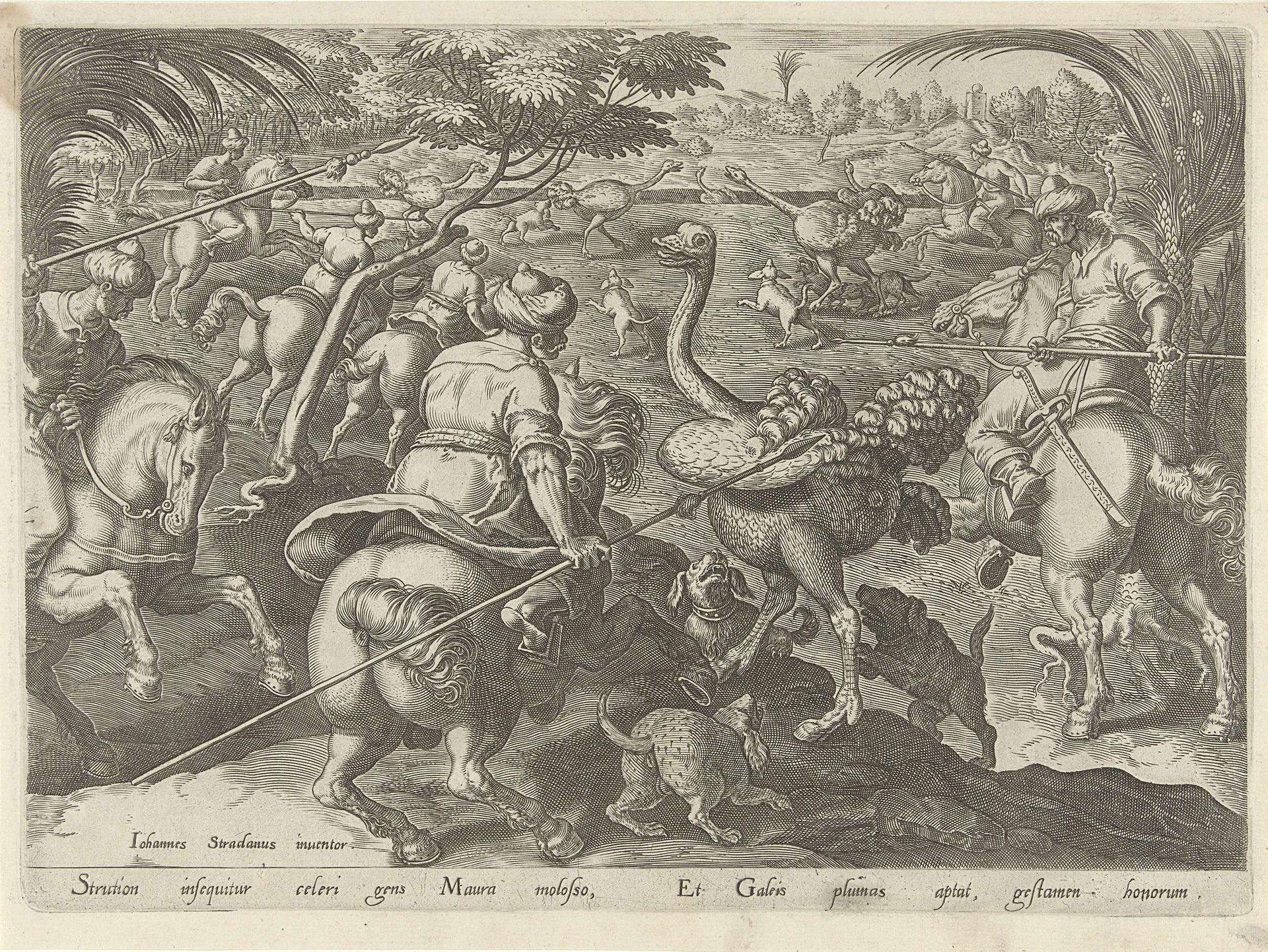 Jacht op struisvogels by Philips Galle