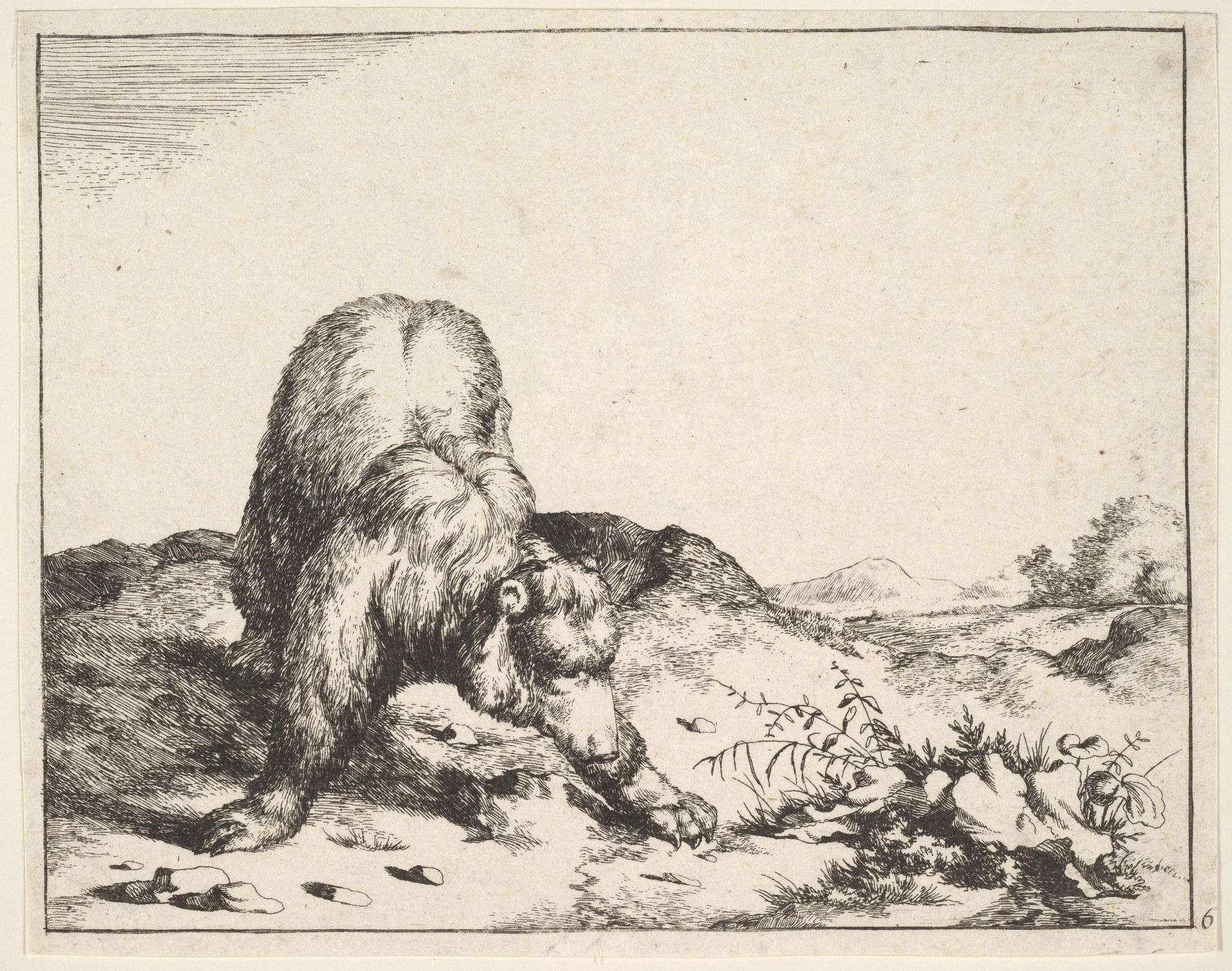 from The Set of The Bears by Marcus de Bye