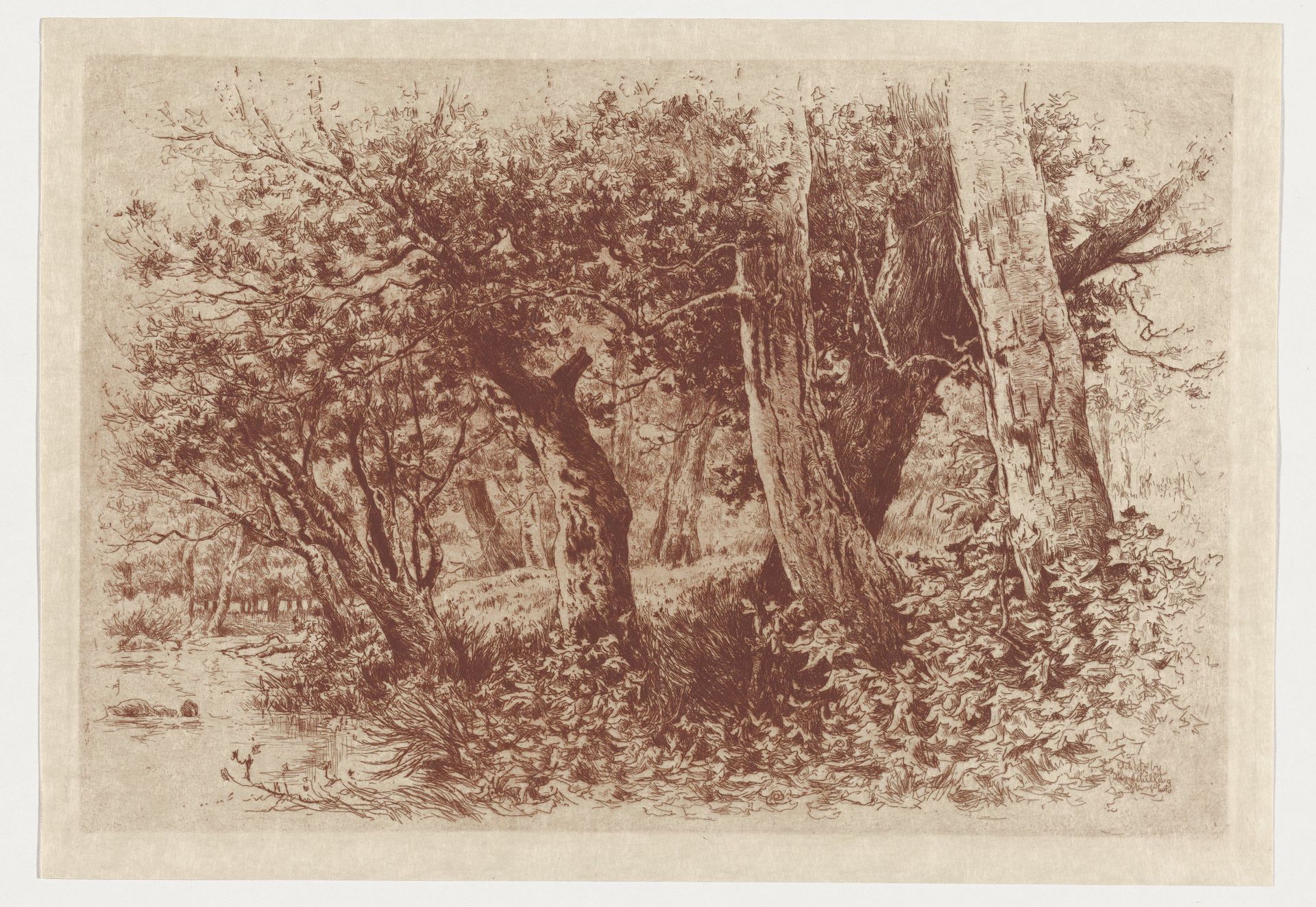 A Bit of Natural Park by Alexander Schilling
