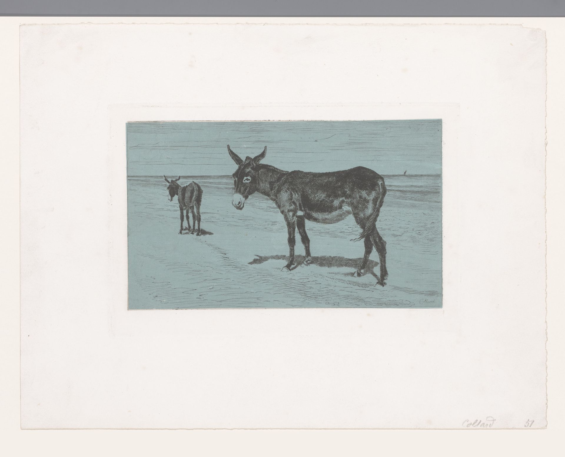 Twee ezels op het strand by Armand Collard