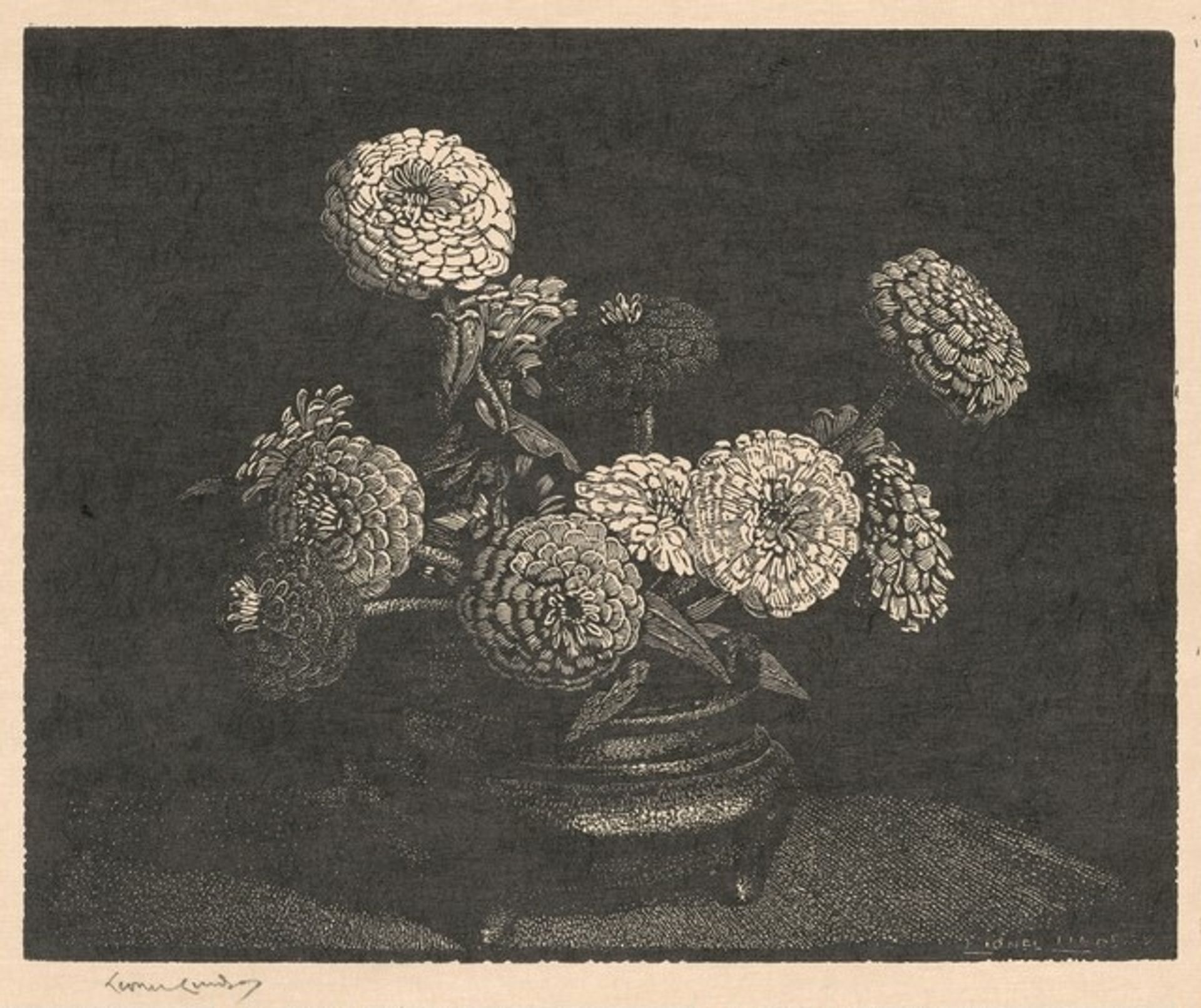 Zinnias by Lionel Lindsay